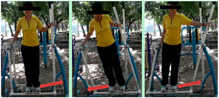 Ijerph 16 00391 i017