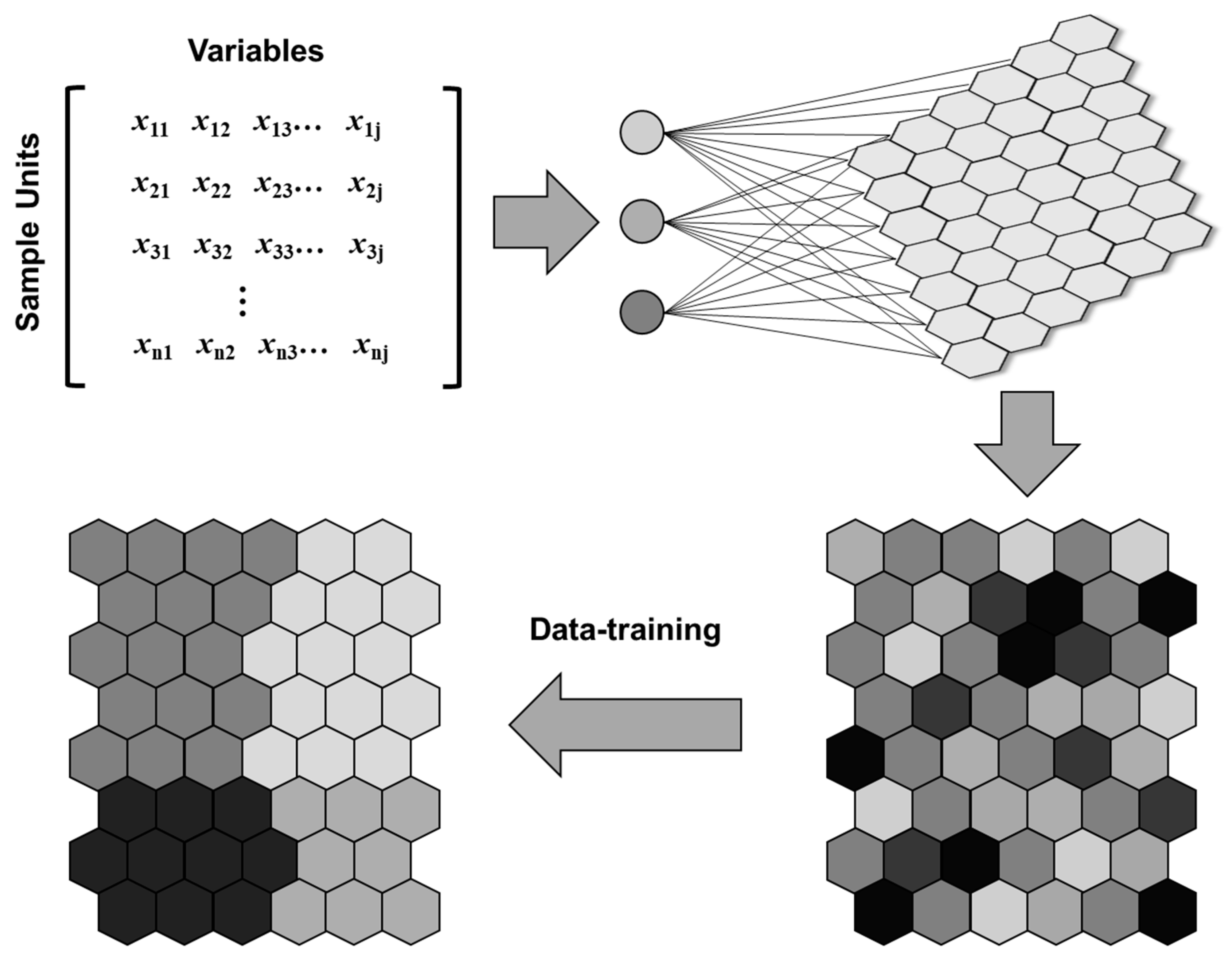 Ijerph 16 00409 g002 Ijerph 16 00409 g002