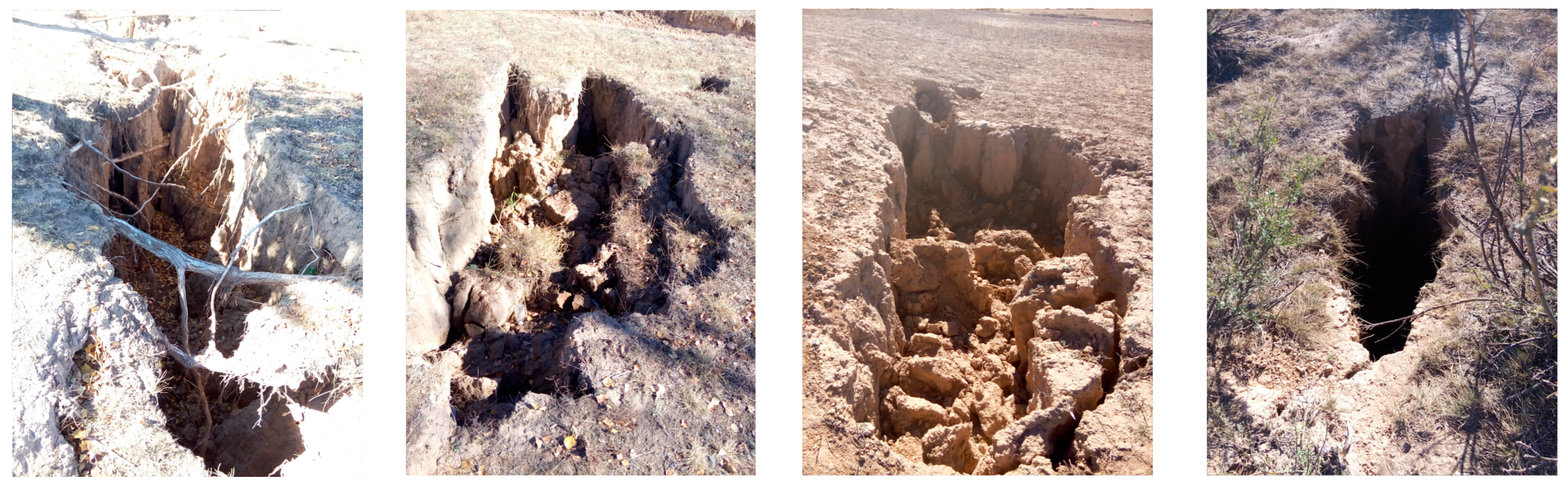 Ijerph 16 00511 g002