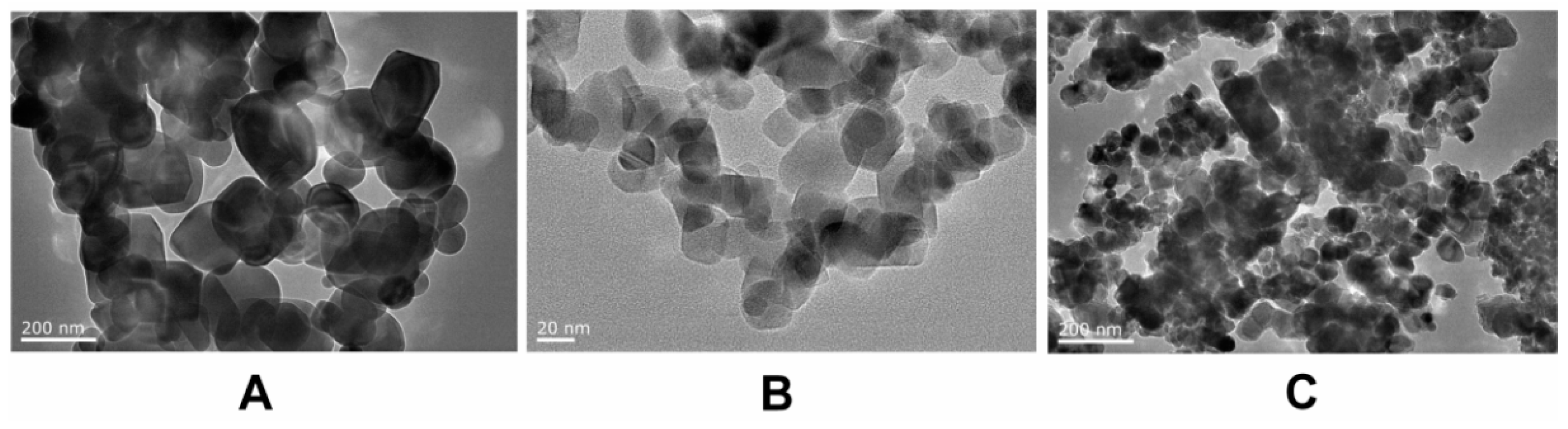 Ijerph 16 00523 g001