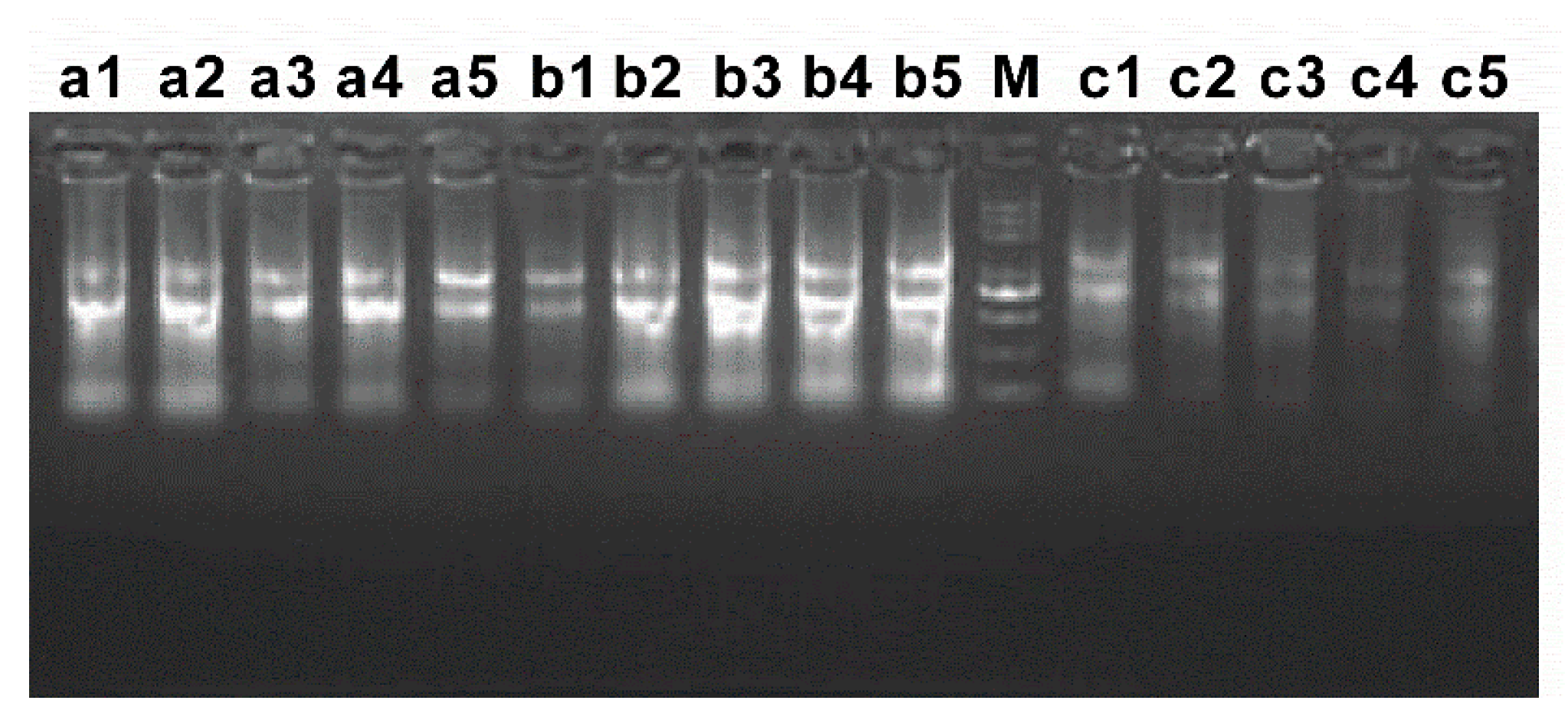 Ijerph 16 00523 g006