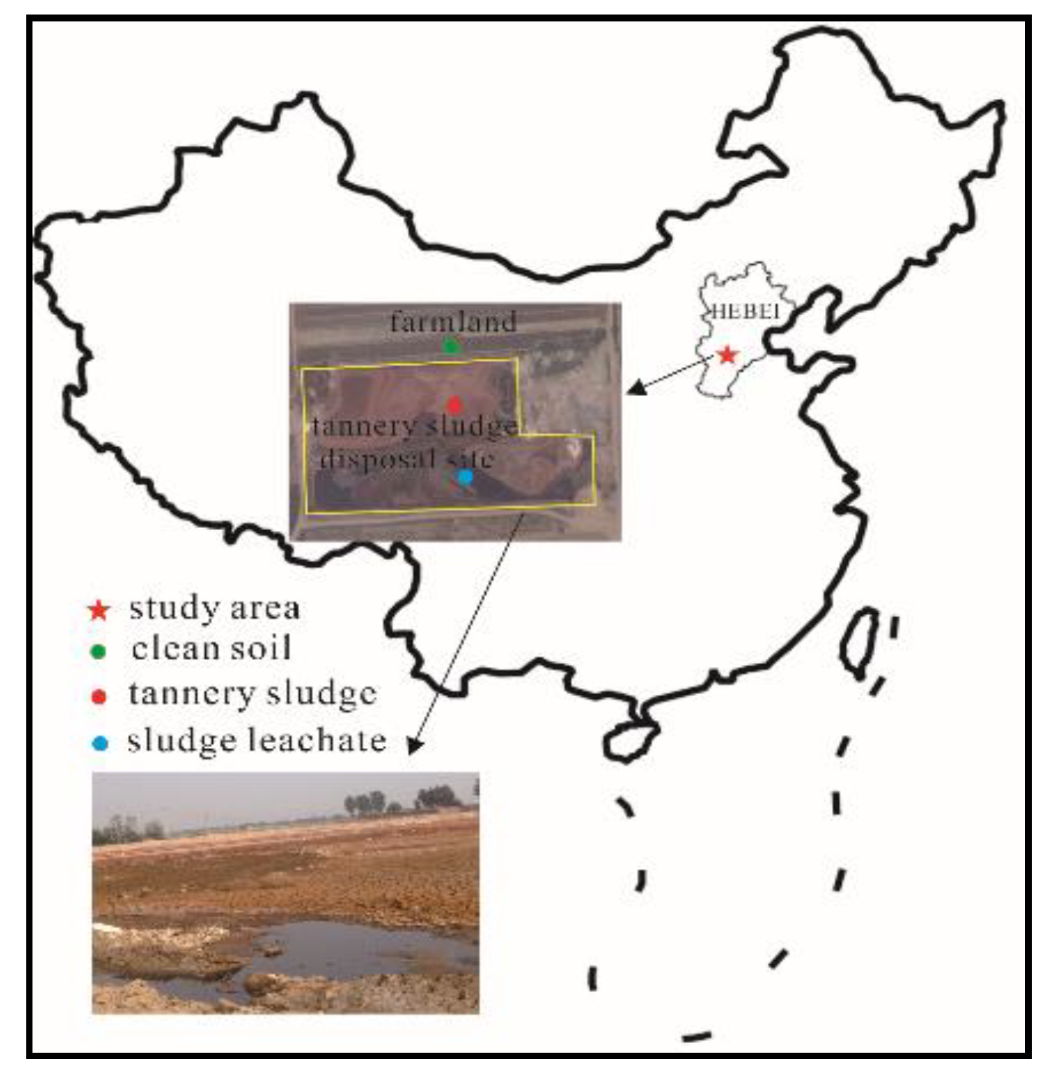 Ijerph 16 00563 g001