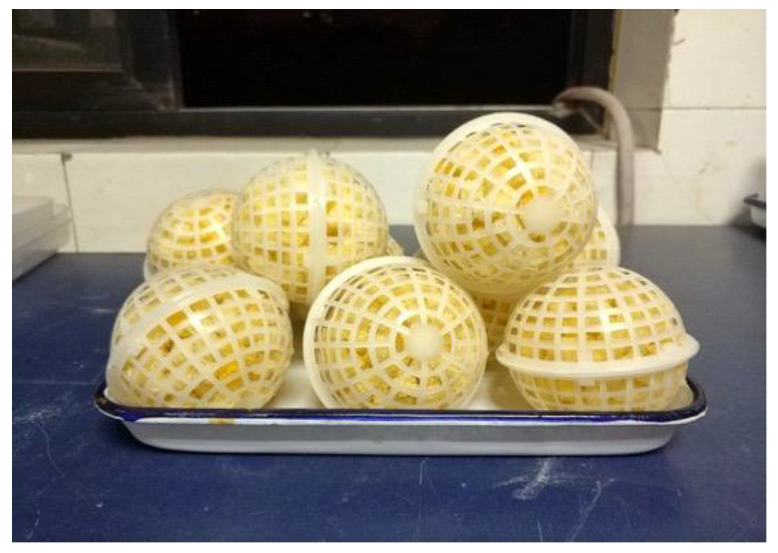 Ijerph 16 00583 g001