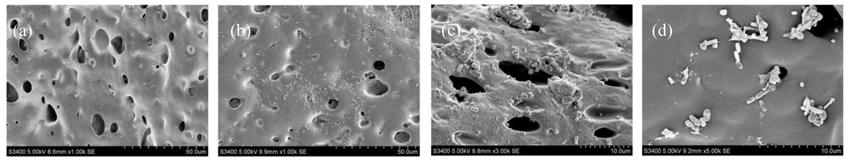 Ijerph 16 00583 g008