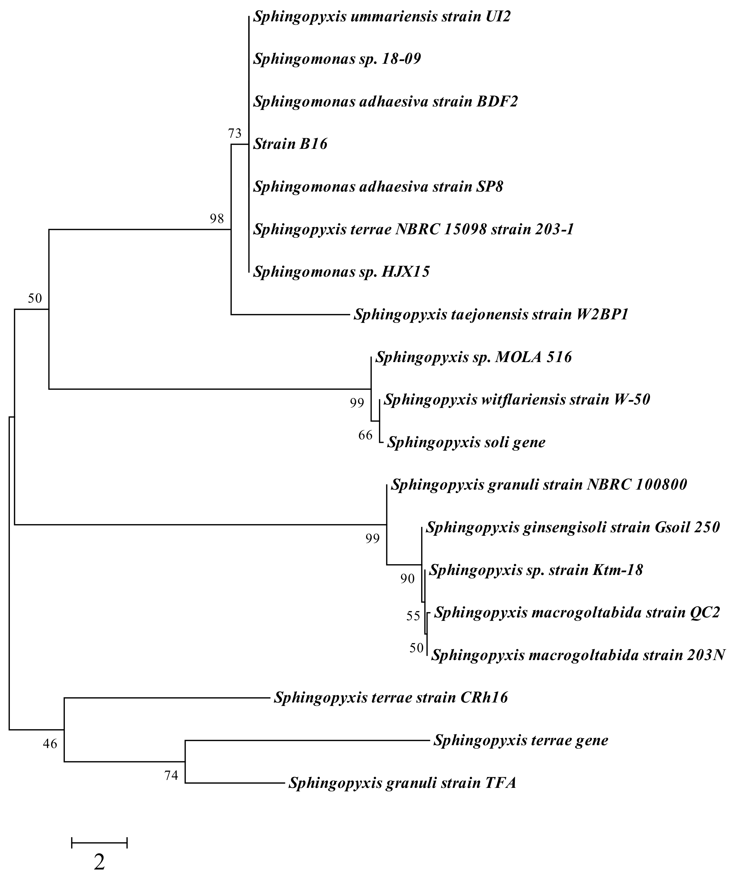 Ijerph 16 00646 g002