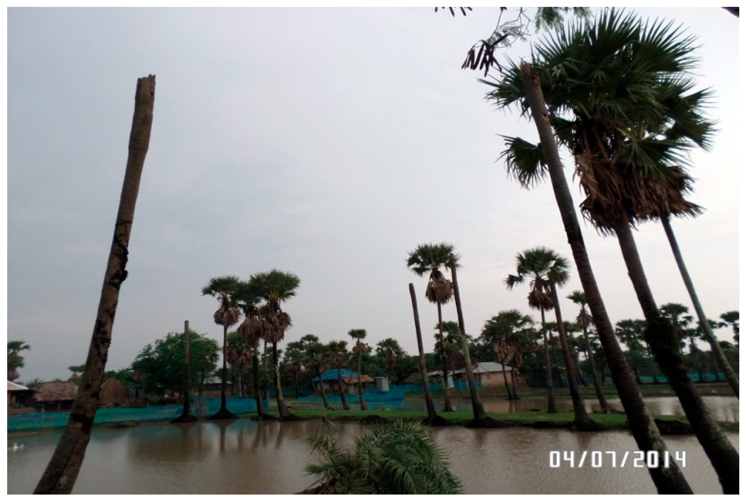 Ijerph 16 00672 g001 Ijerph 16 00672 g001