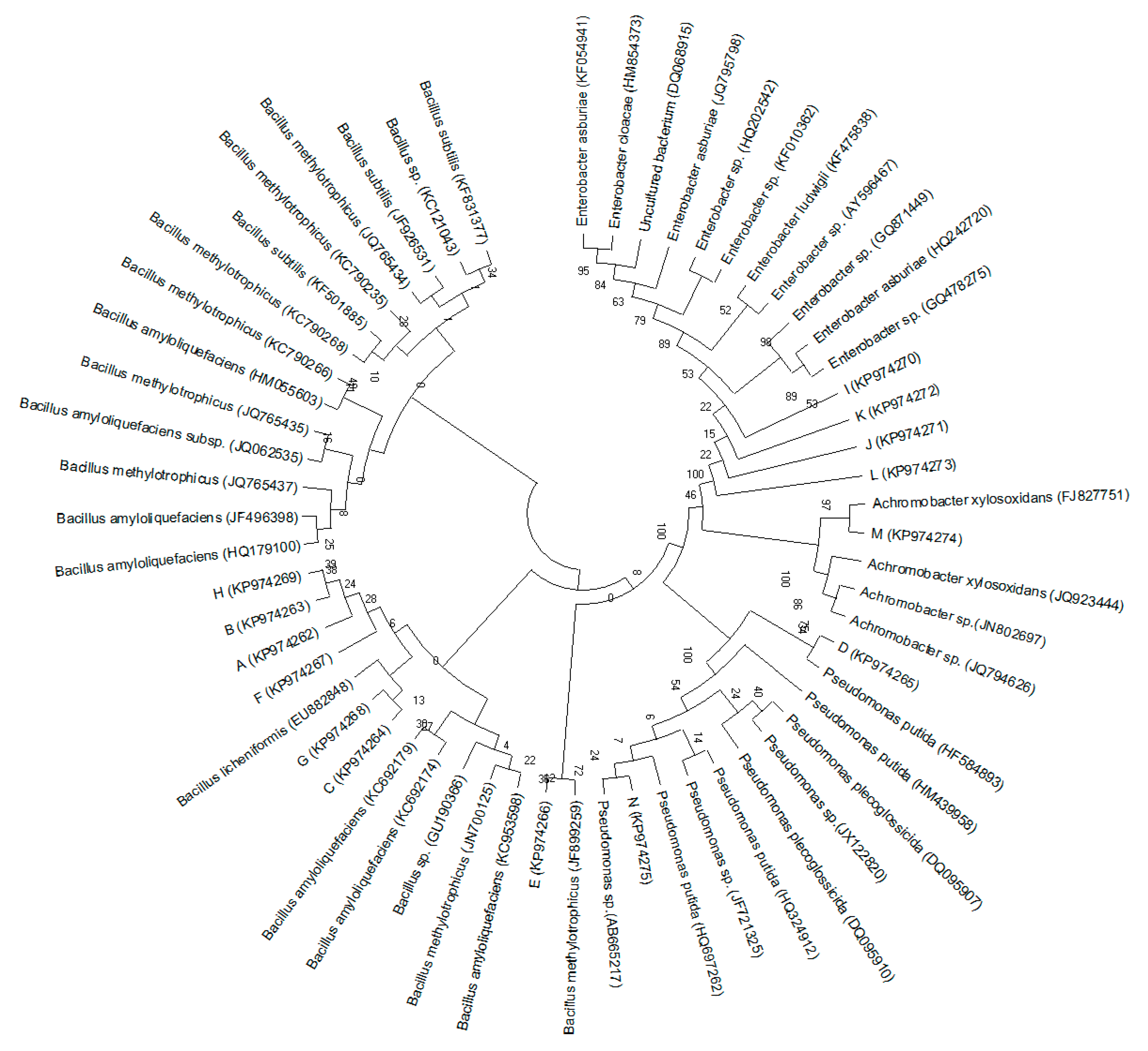 Ijerph 16 00700 g003 Ijerph 16 00700 g003