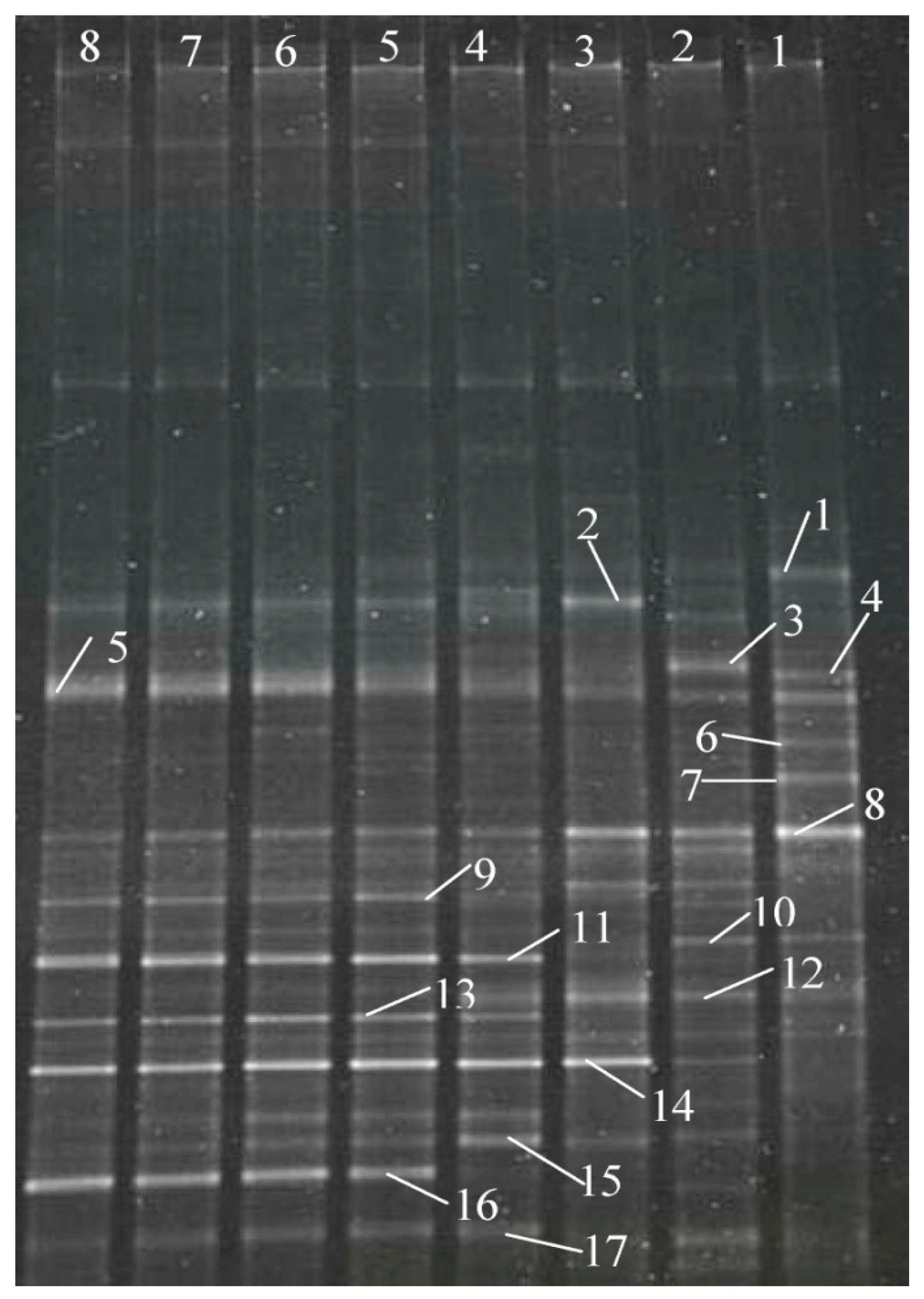 Ijerph 16 00777 g004 550