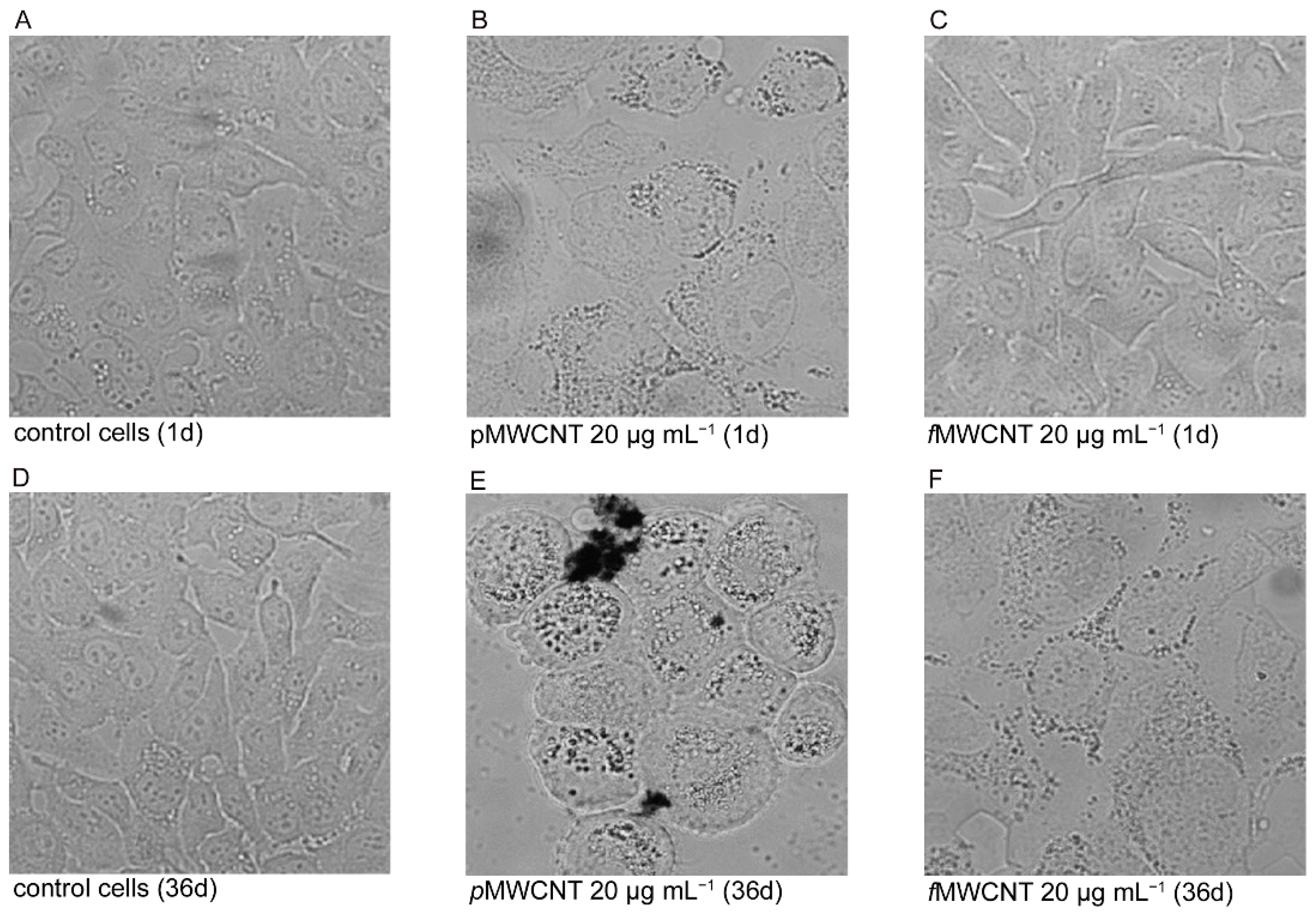 Mitochondrial Deficits In Children With >> Ijerph Free Full Text Mitochondrial Impairment Induced By Sub Mitochondrial Deficits In Children With >> Ijerph Free Full Text Mitochondrial Impairment Induced By Sub
