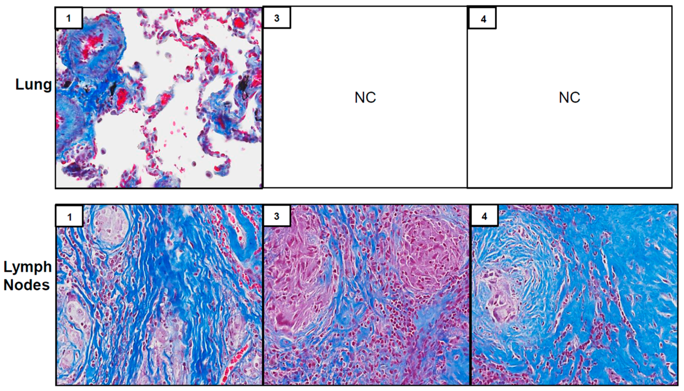Ijerph 16 00815 g002