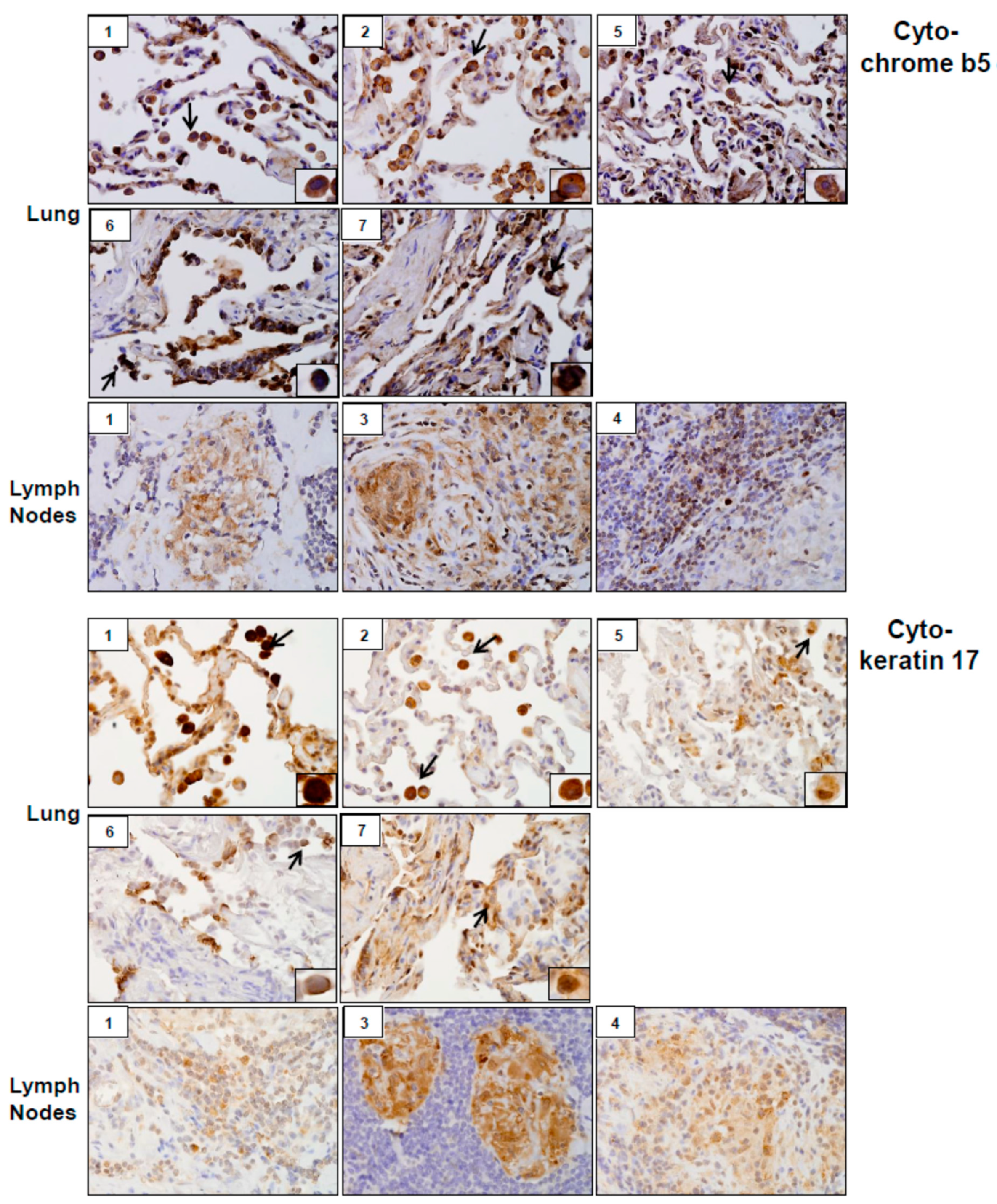 Ijerph 16 00815 g003