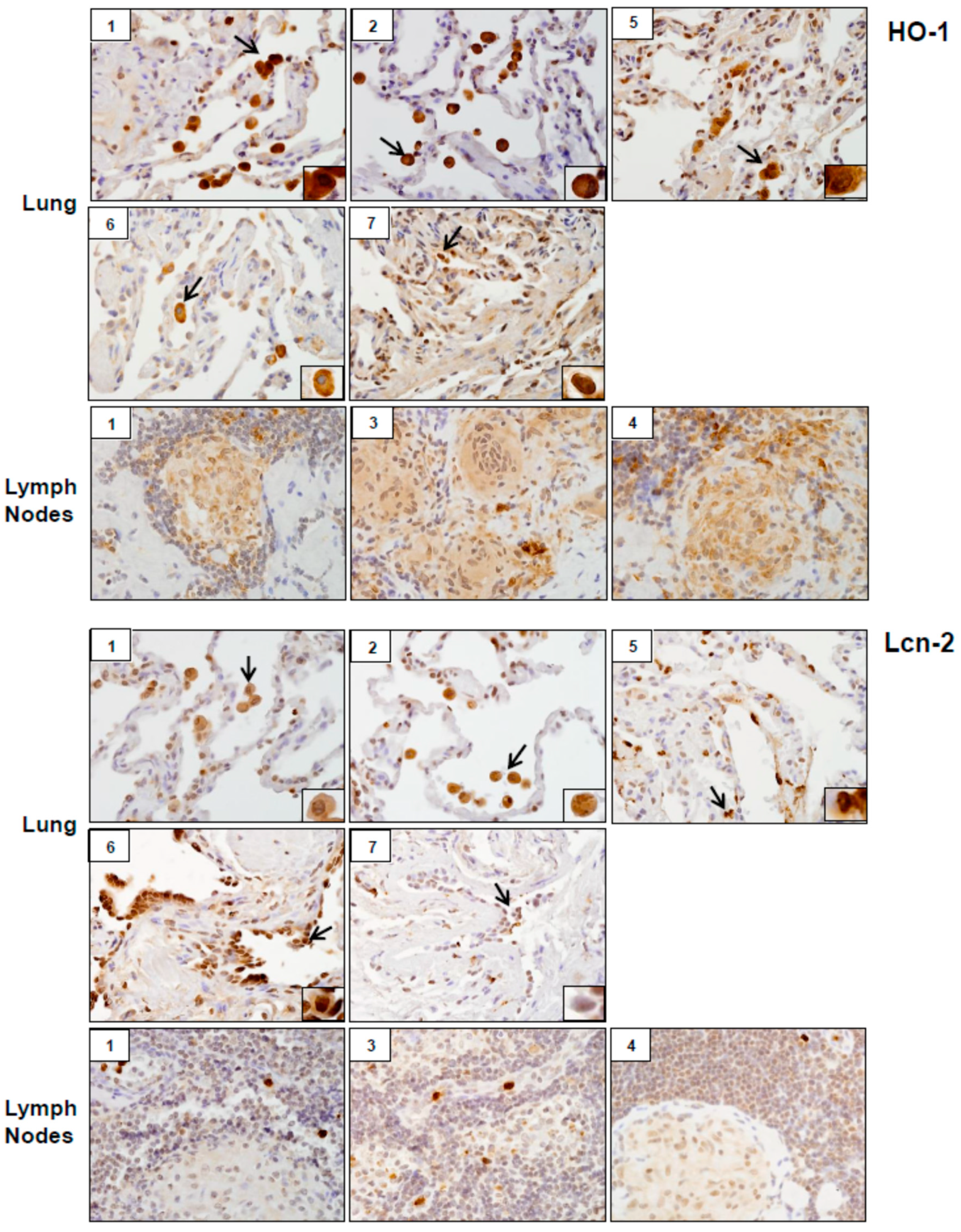 Ijerph 16 00815 g004