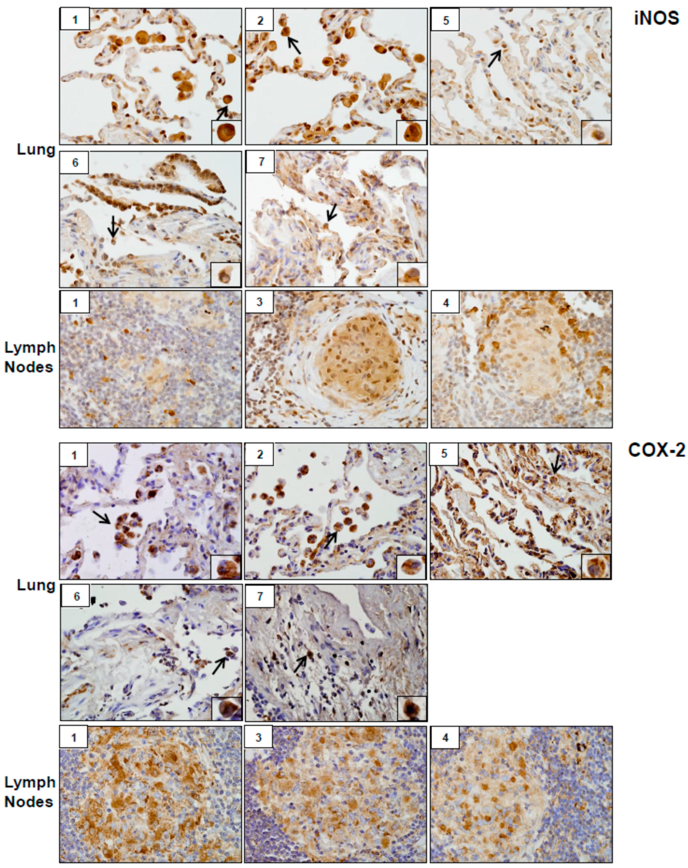 Ijerph 16 00815 g005