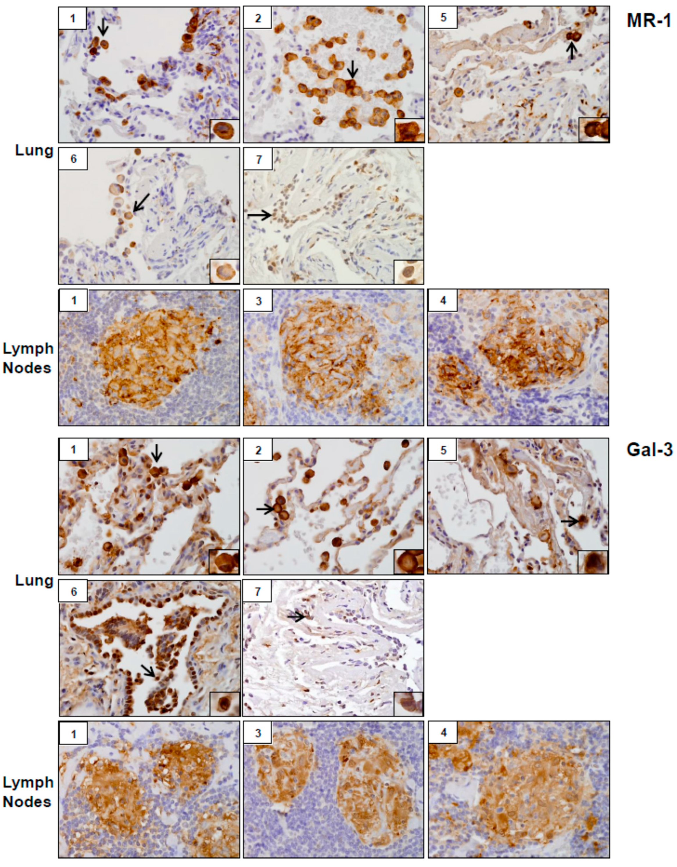 Ijerph 16 00815 g007