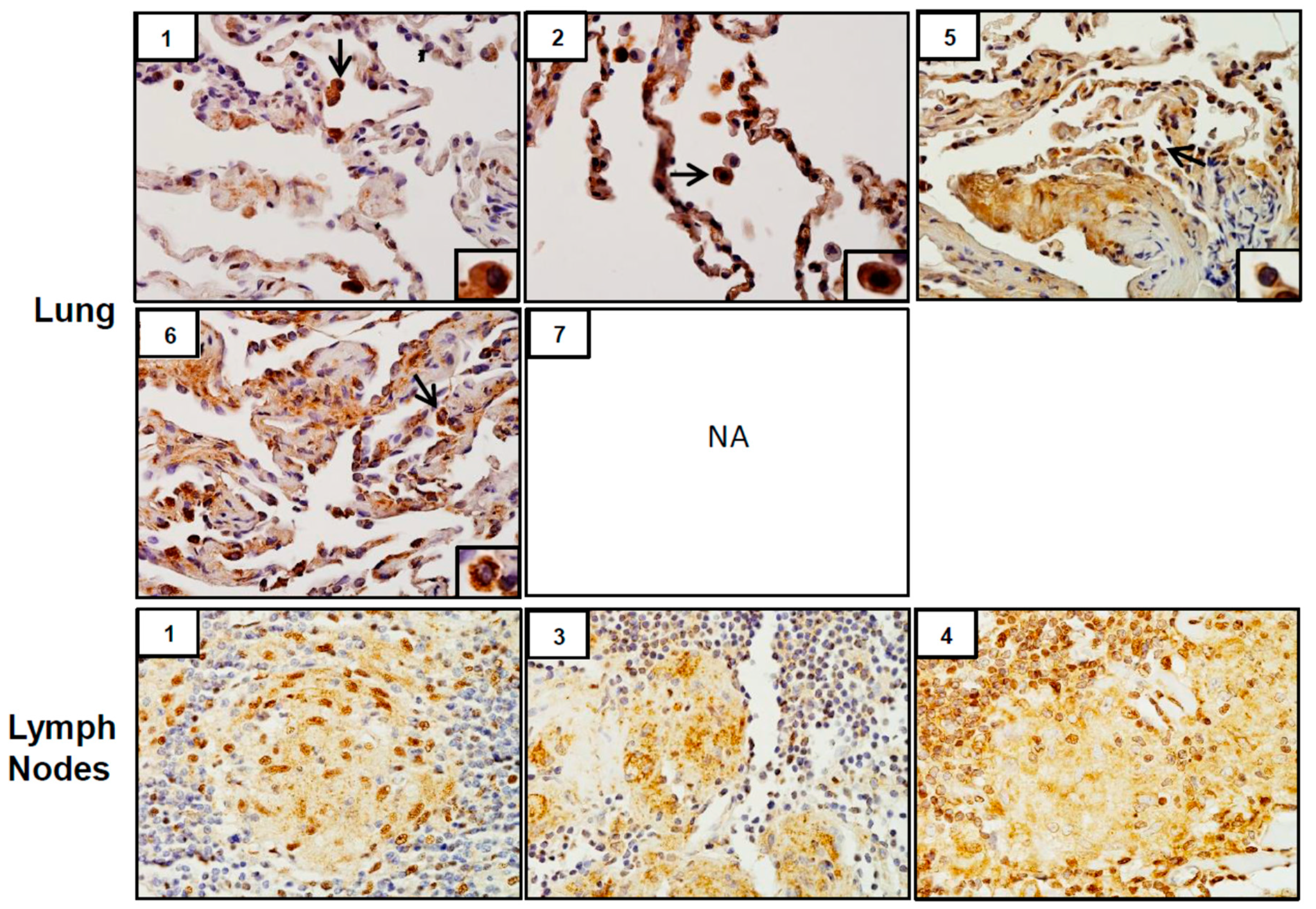 Ijerph 16 00815 g008