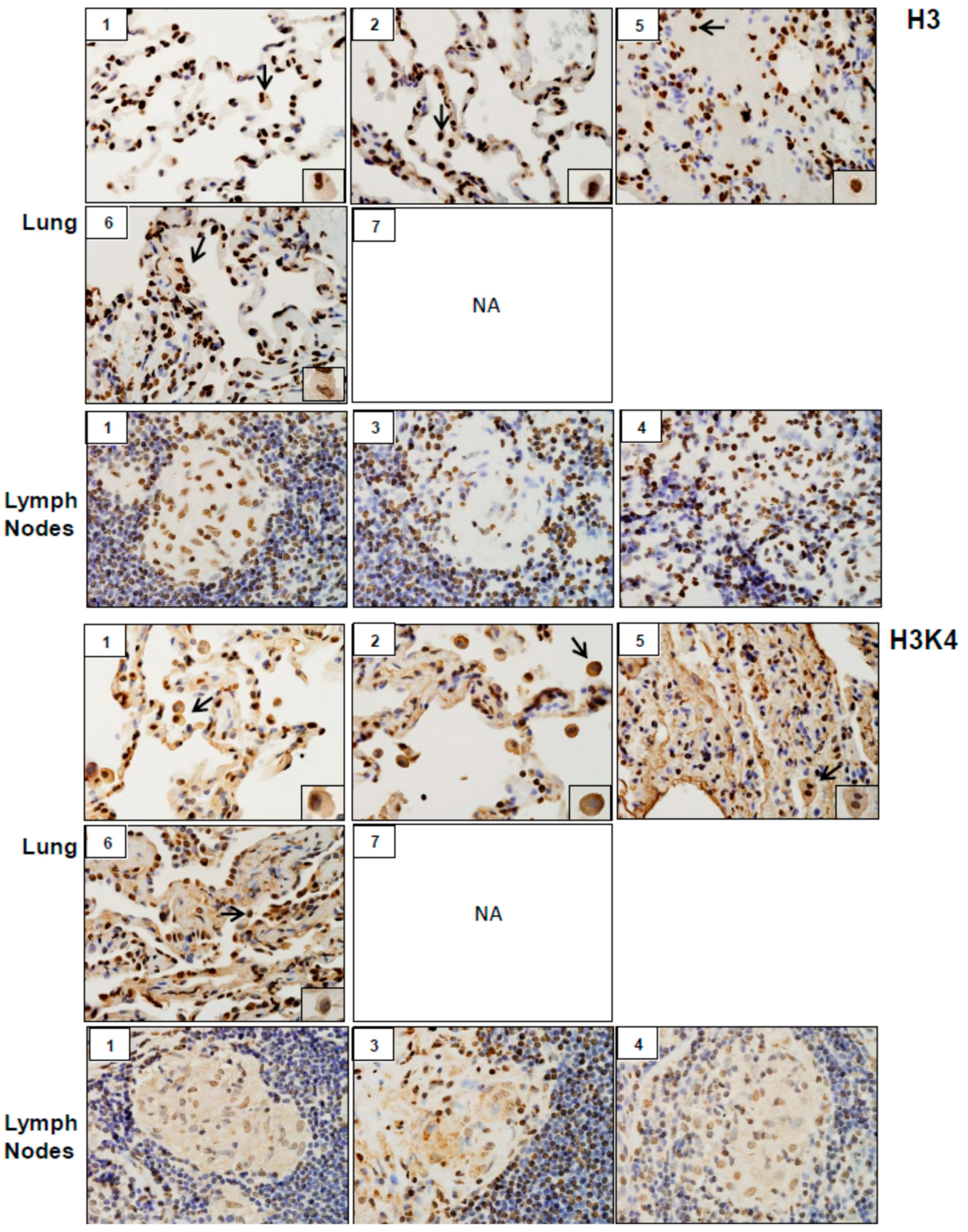 Ijerph 16 00815 g009