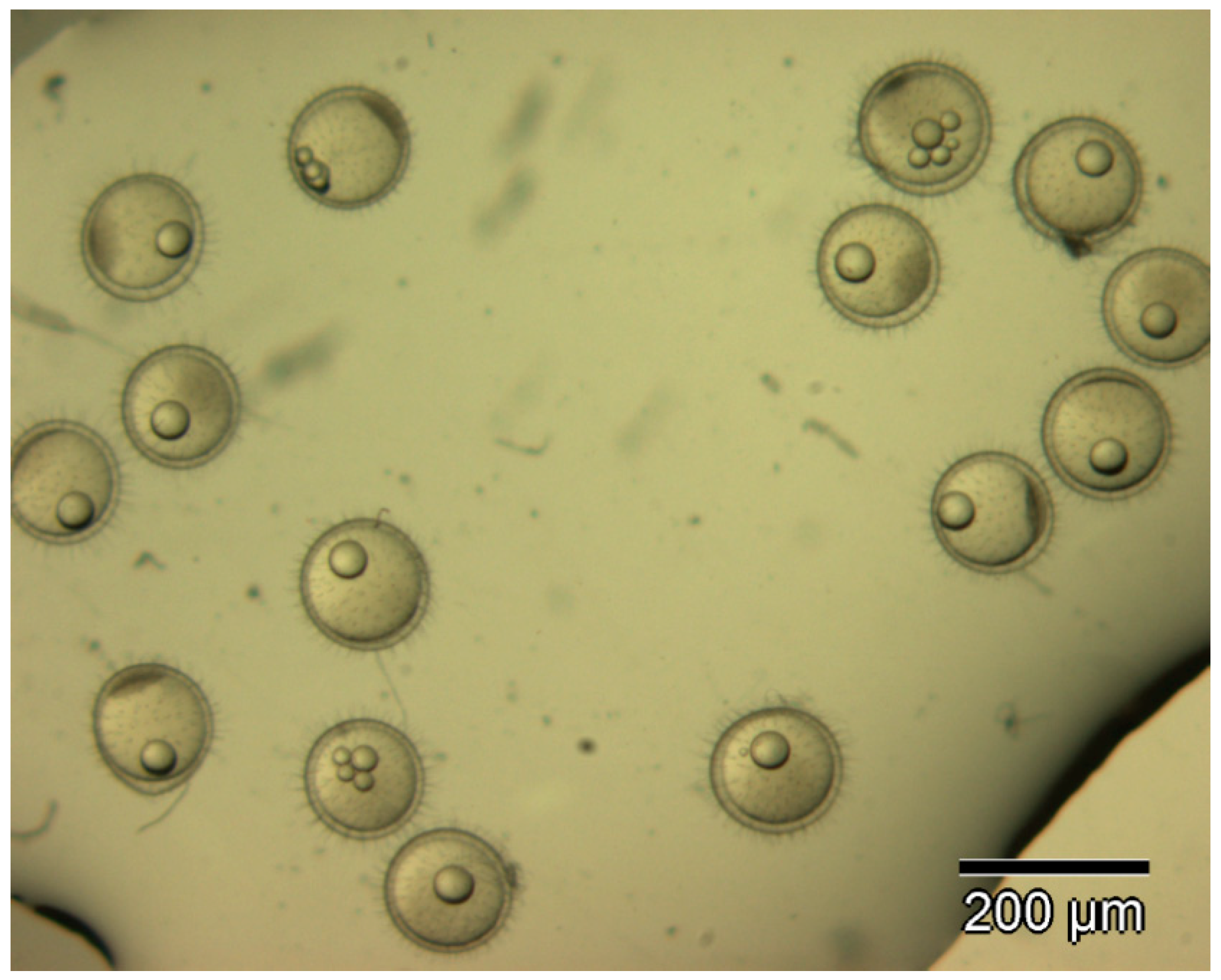 Ijerph 16 00844 g001