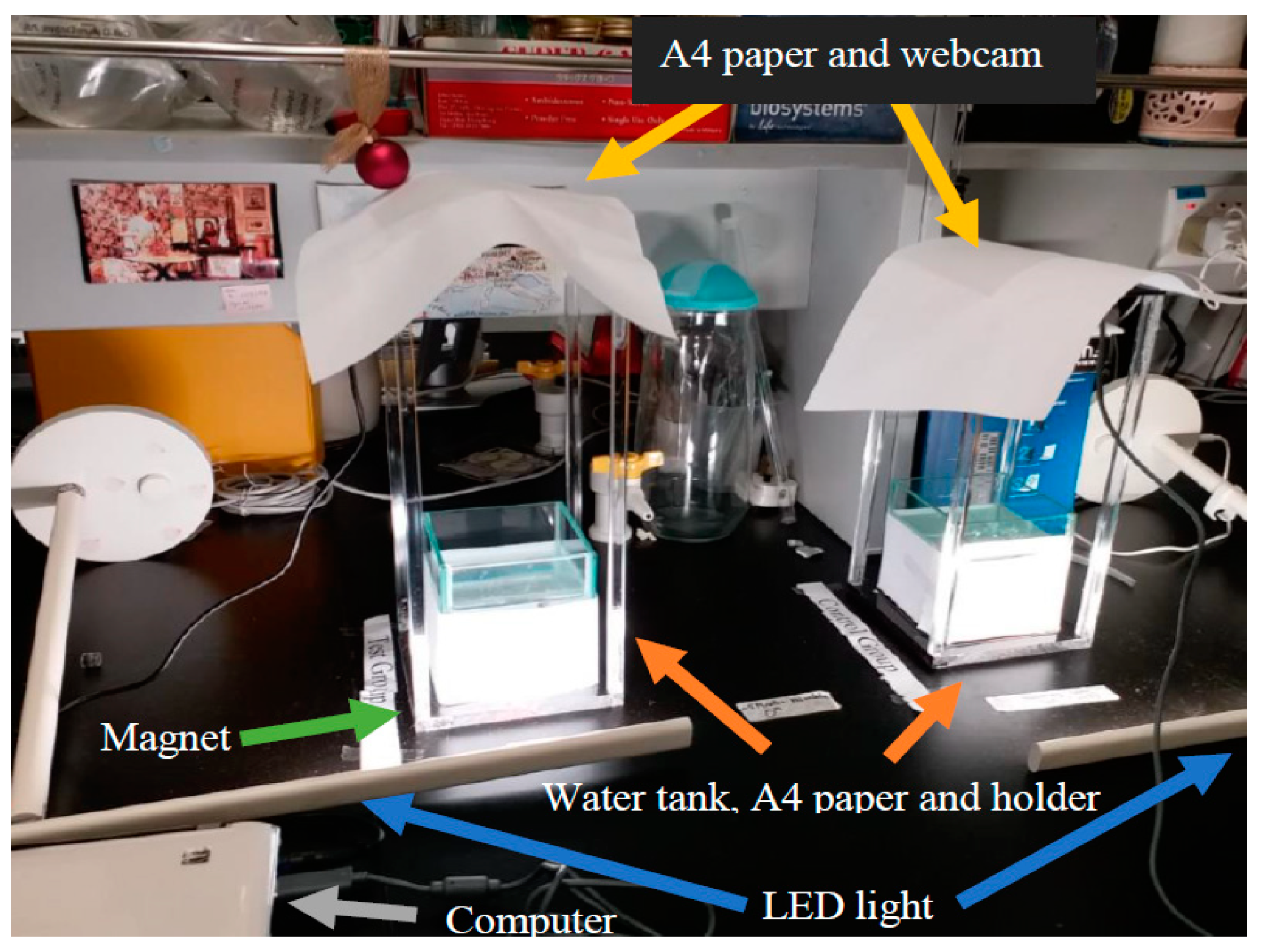 Ijerph 16 00844 g004