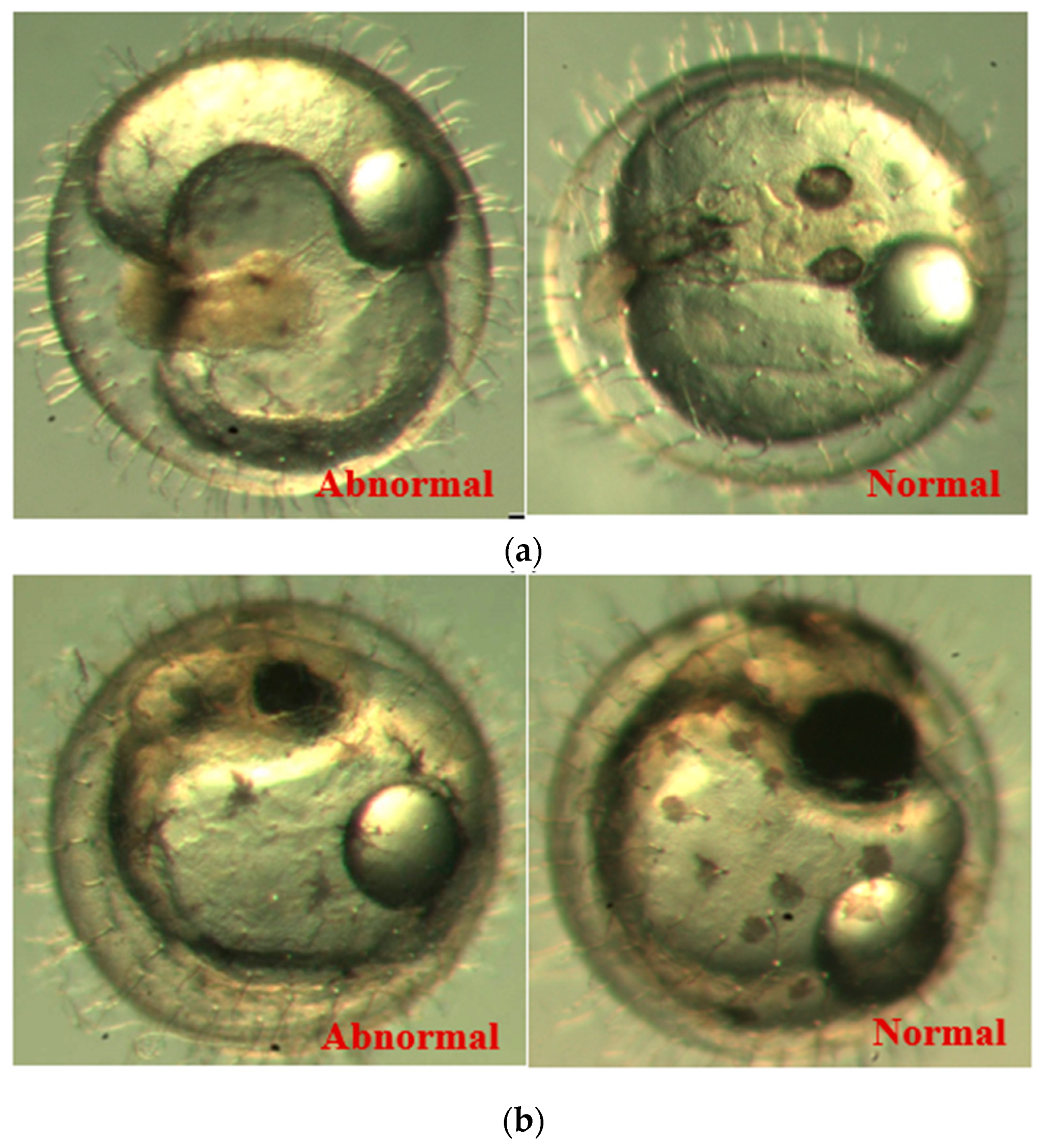 Ijerph 16 00844 g010
