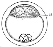 Ijerph 16 00844 i001