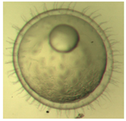 Ijerph 16 00844 i003