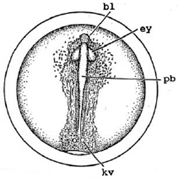 Ijerph 16 00844 i004