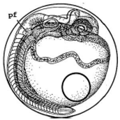 Ijerph 16 00844 i013