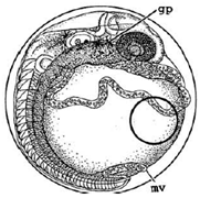 Ijerph 16 00844 i016