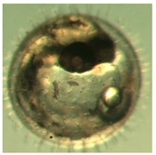 Ijerph 16 00844 i018