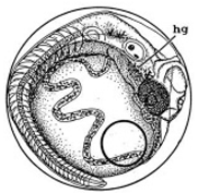 Ijerph 16 00844 i019