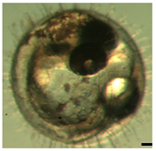 Ijerph 16 00844 i021