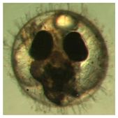 Ijerph 16 00844 i026