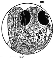 Ijerph 16 00844 i031