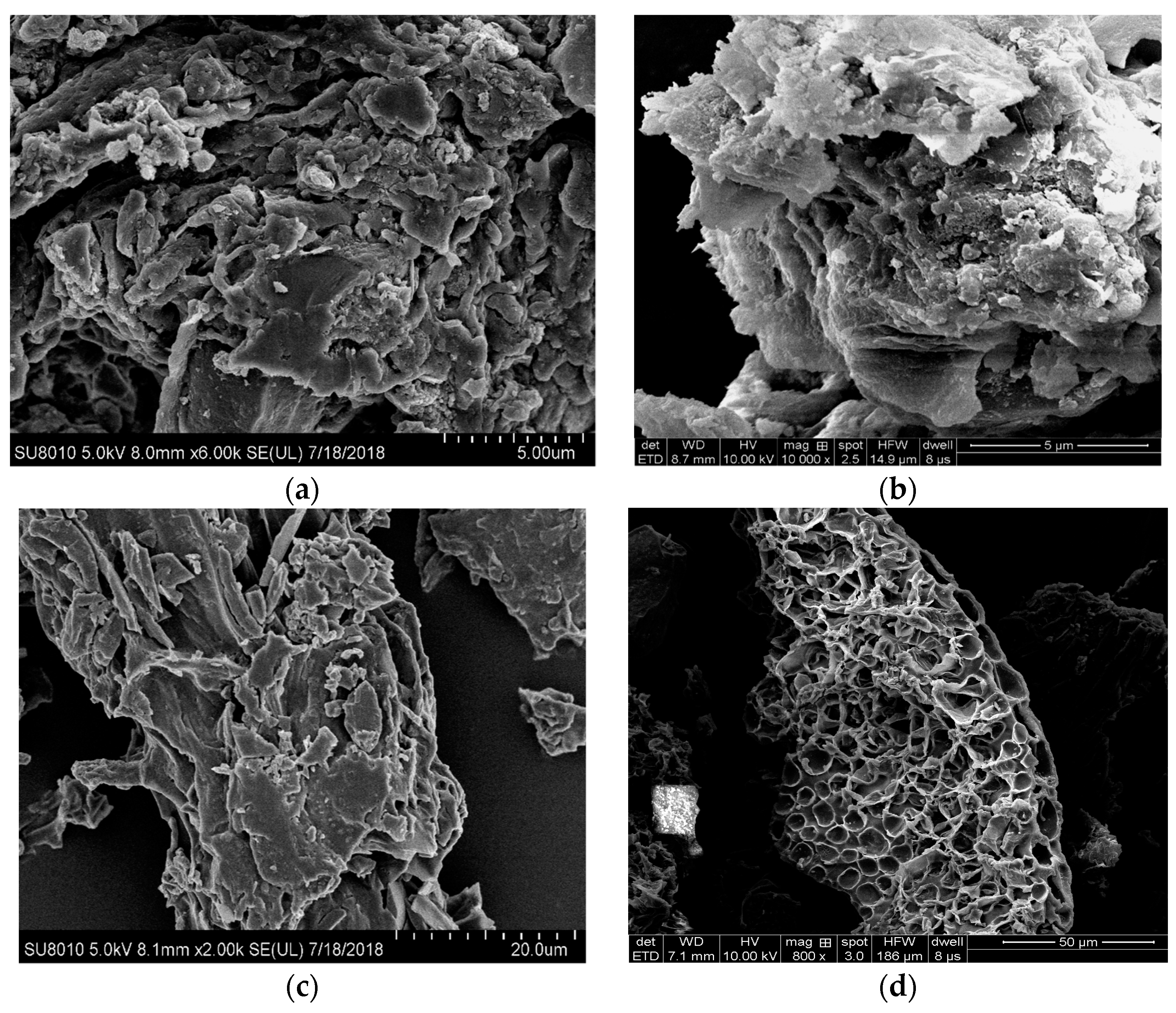 Ijerph 16 00845 g003