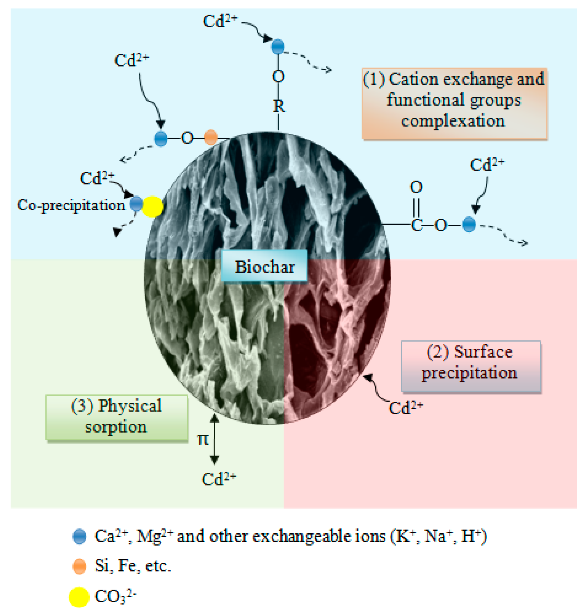 Ijerph 16 00845 g015