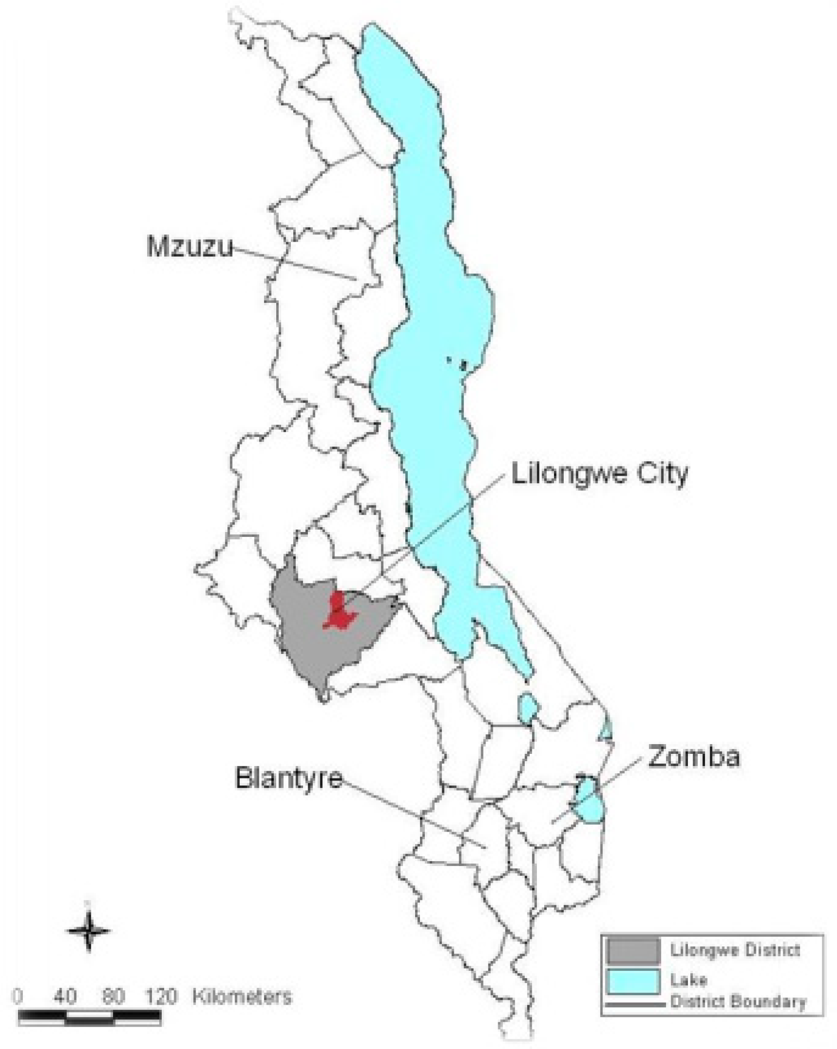 Ijerph 16 00951 g001