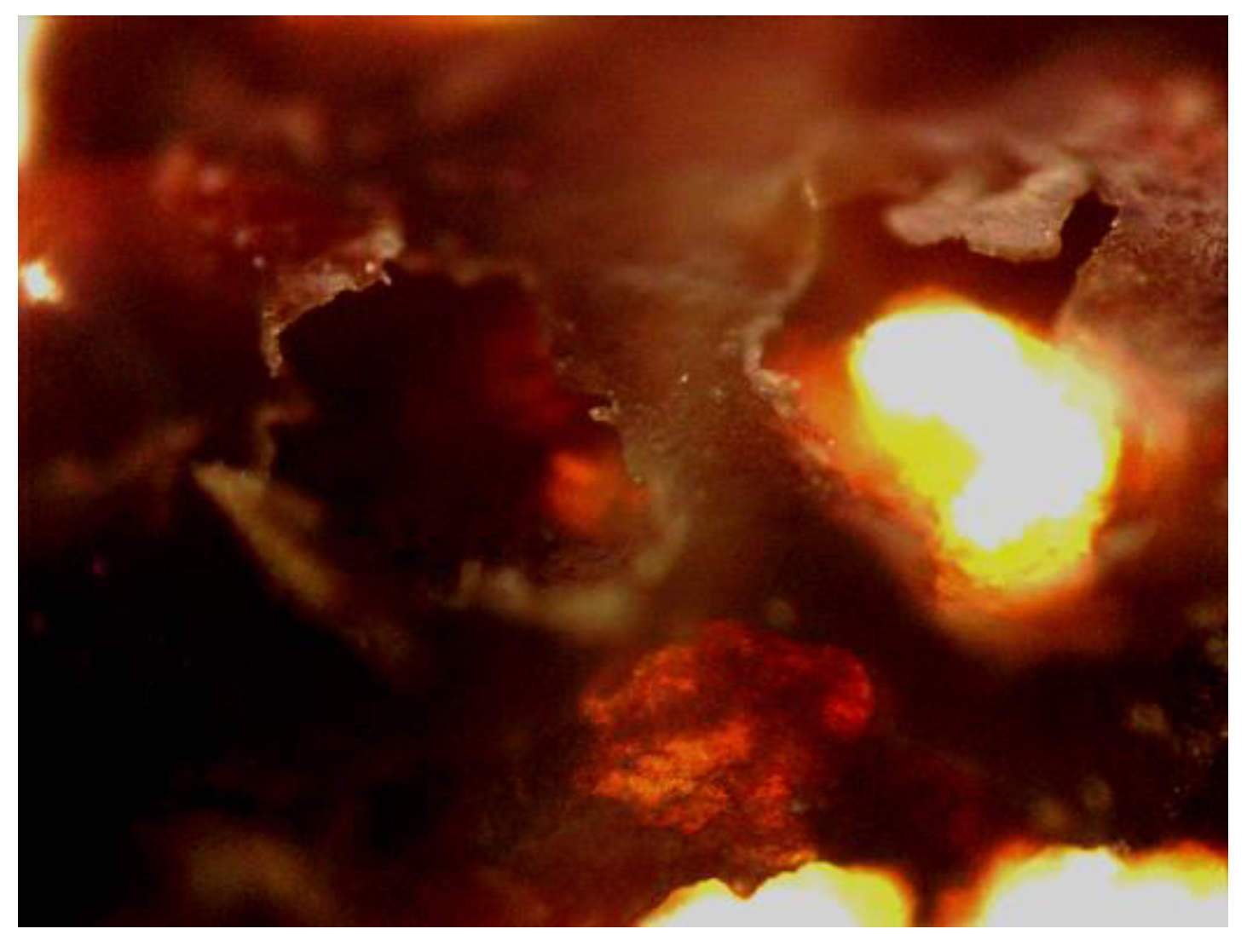 Ijerph 16 00996 g005