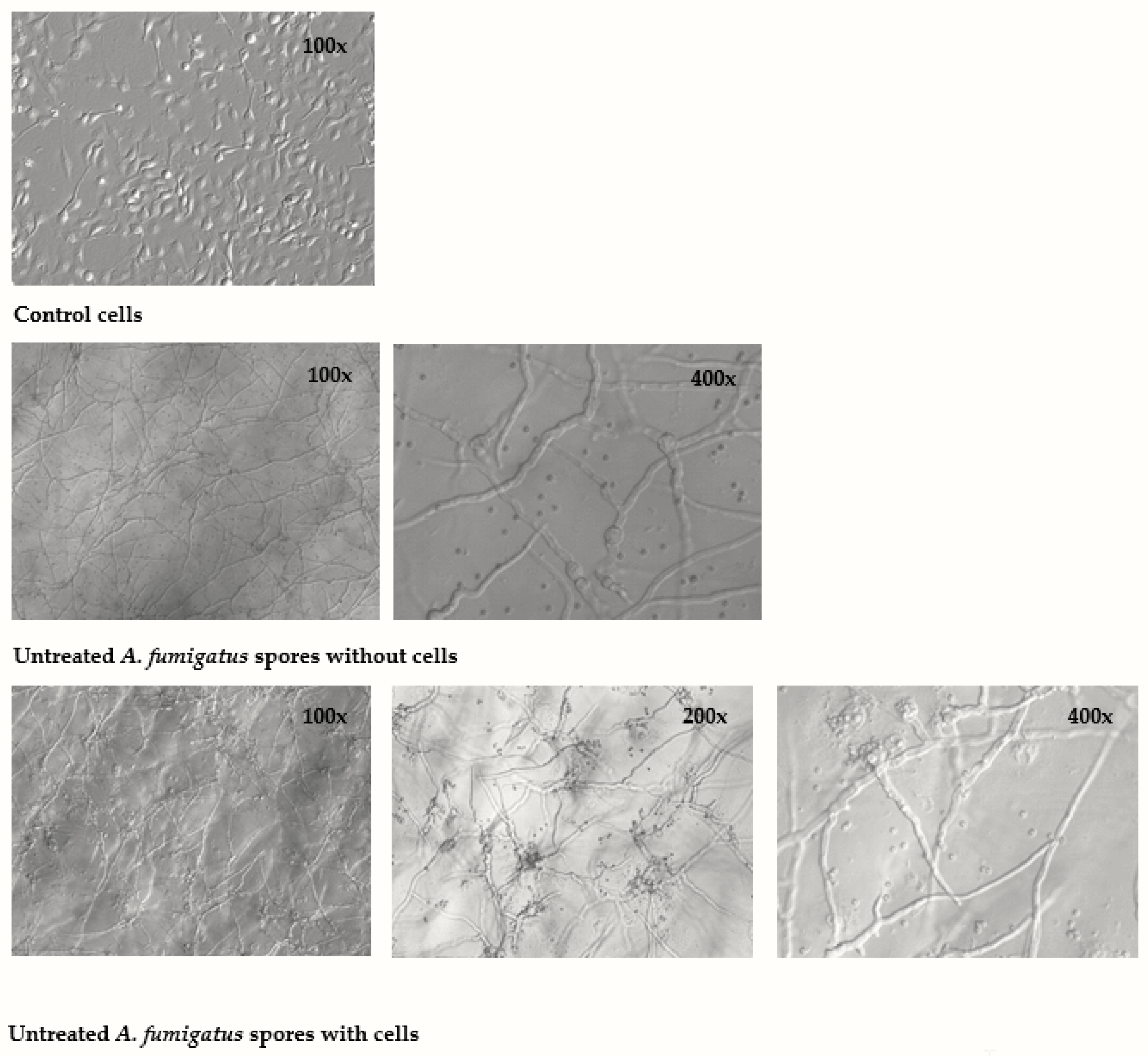 Ijerph 16 01085 g006