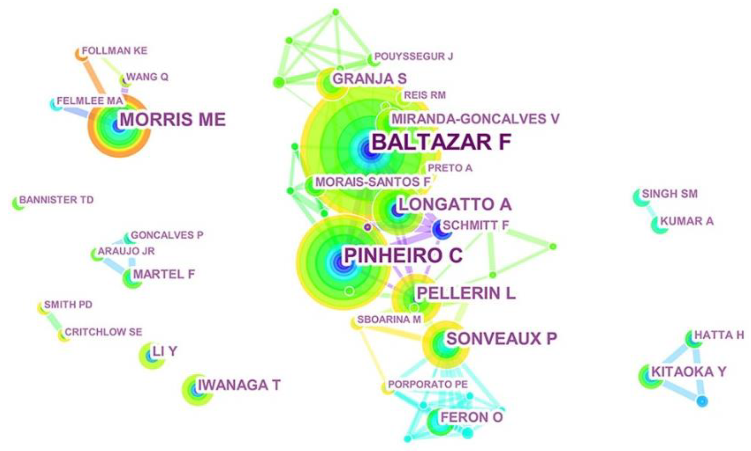 Ijerph 16 01091 g005