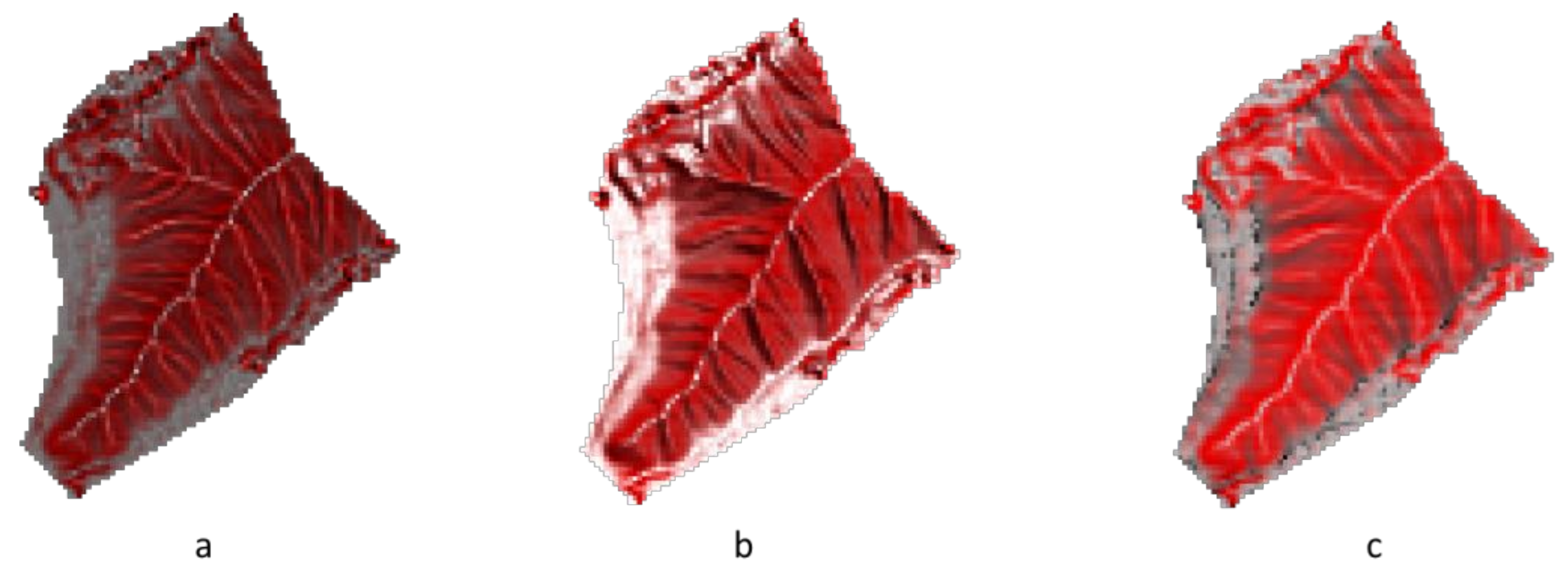 Ijerph 16 01109 g005