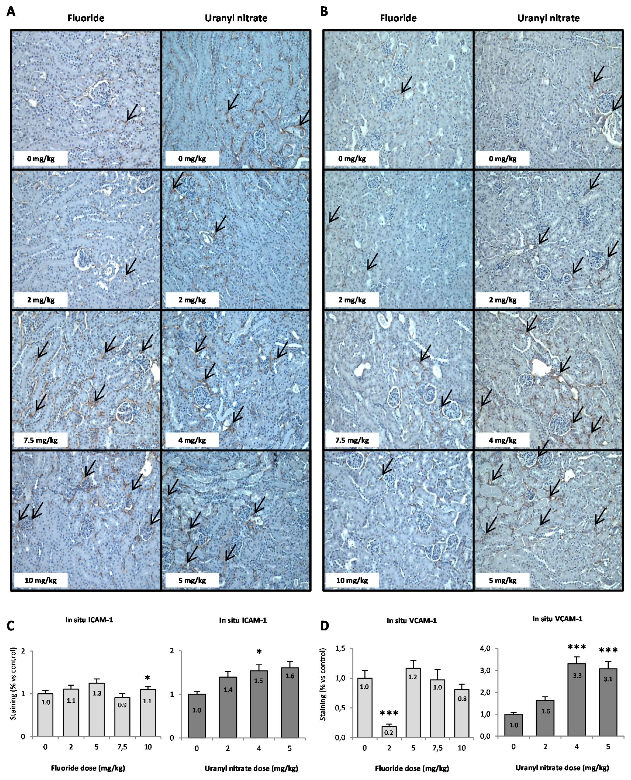 Ijerph 16 01136 g007