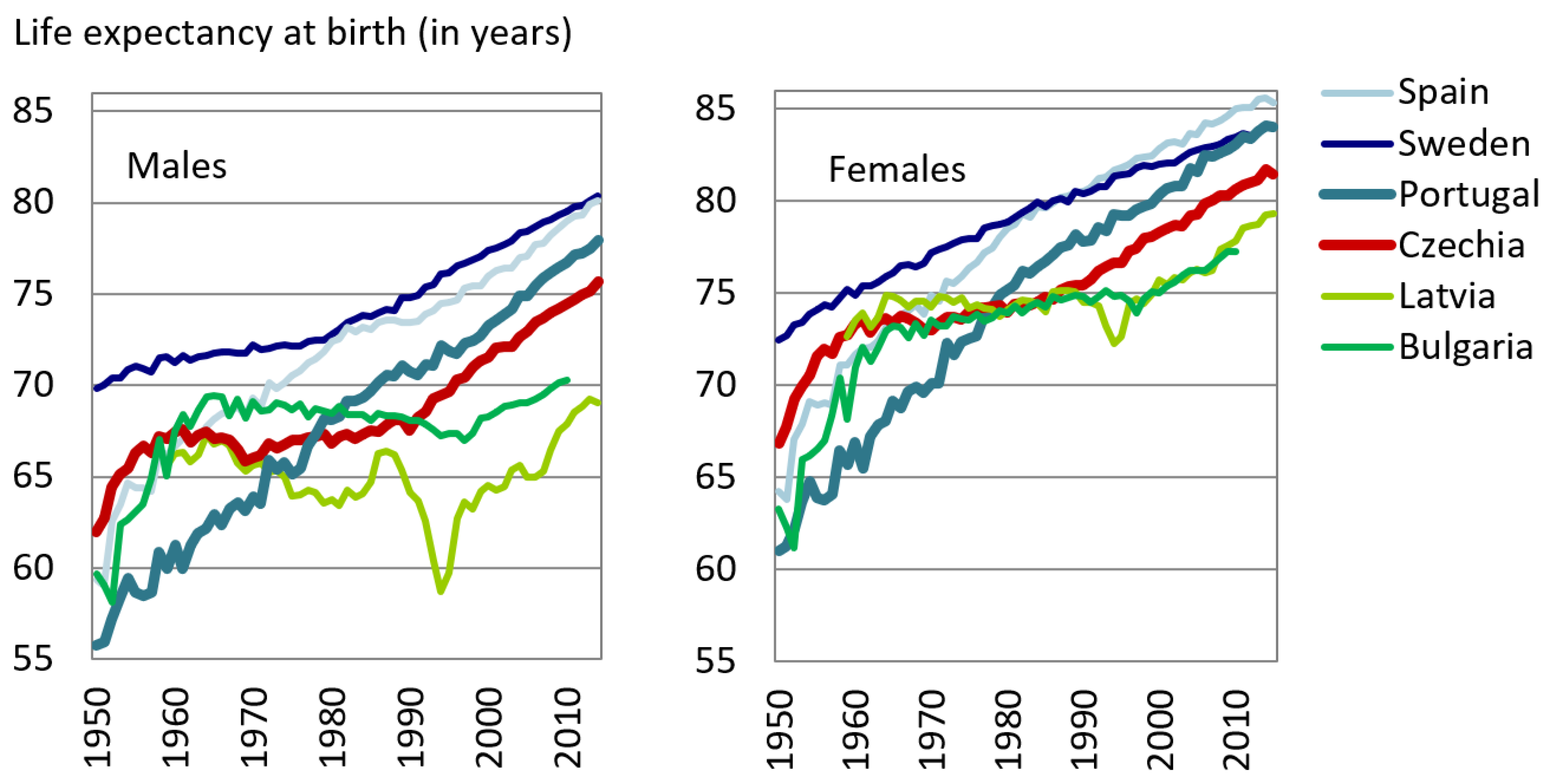 Ijerph 16 01139 g001