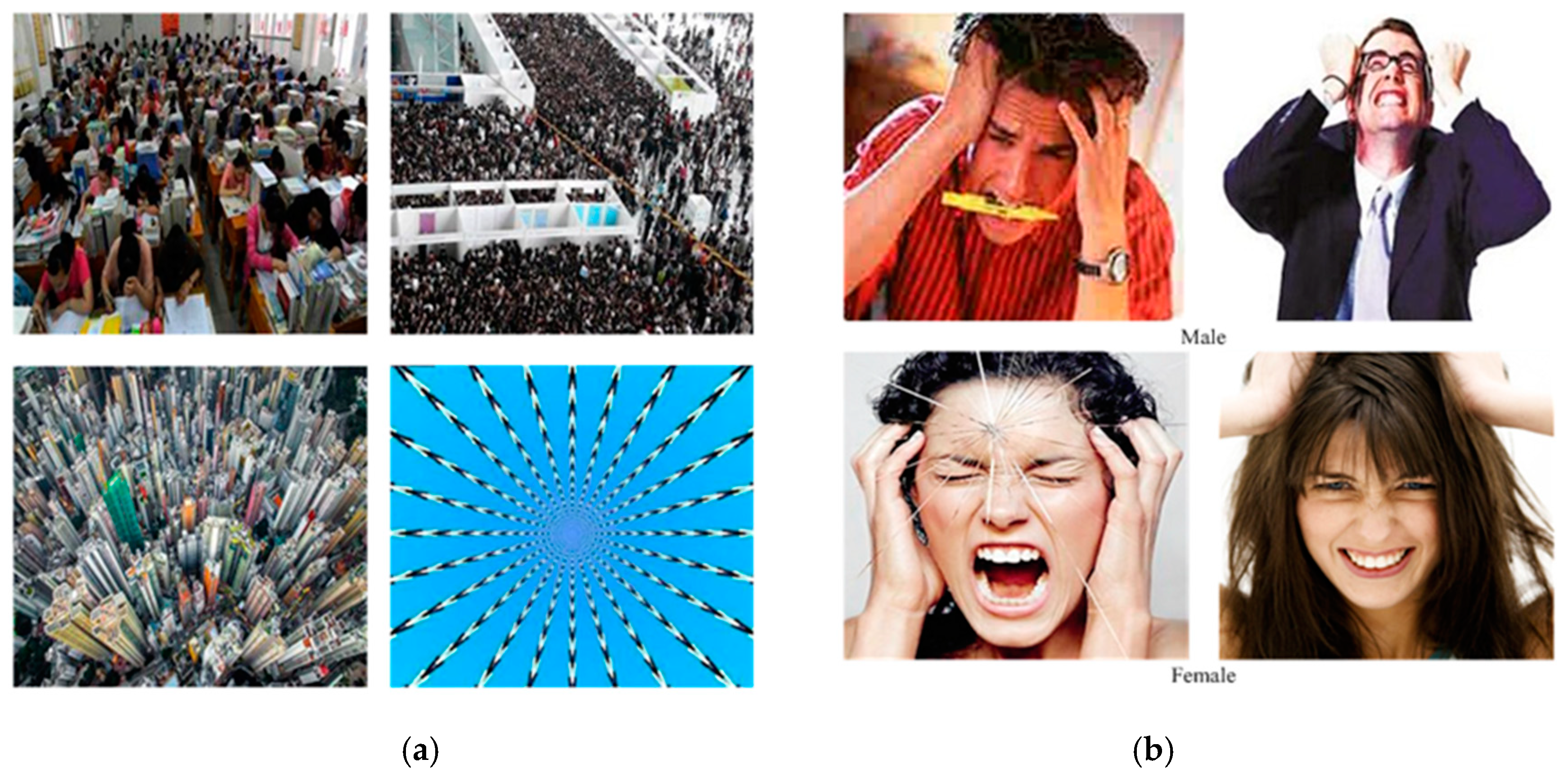 Ijerph 16 01236 g002