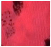 Ijerph 16 01248 i003