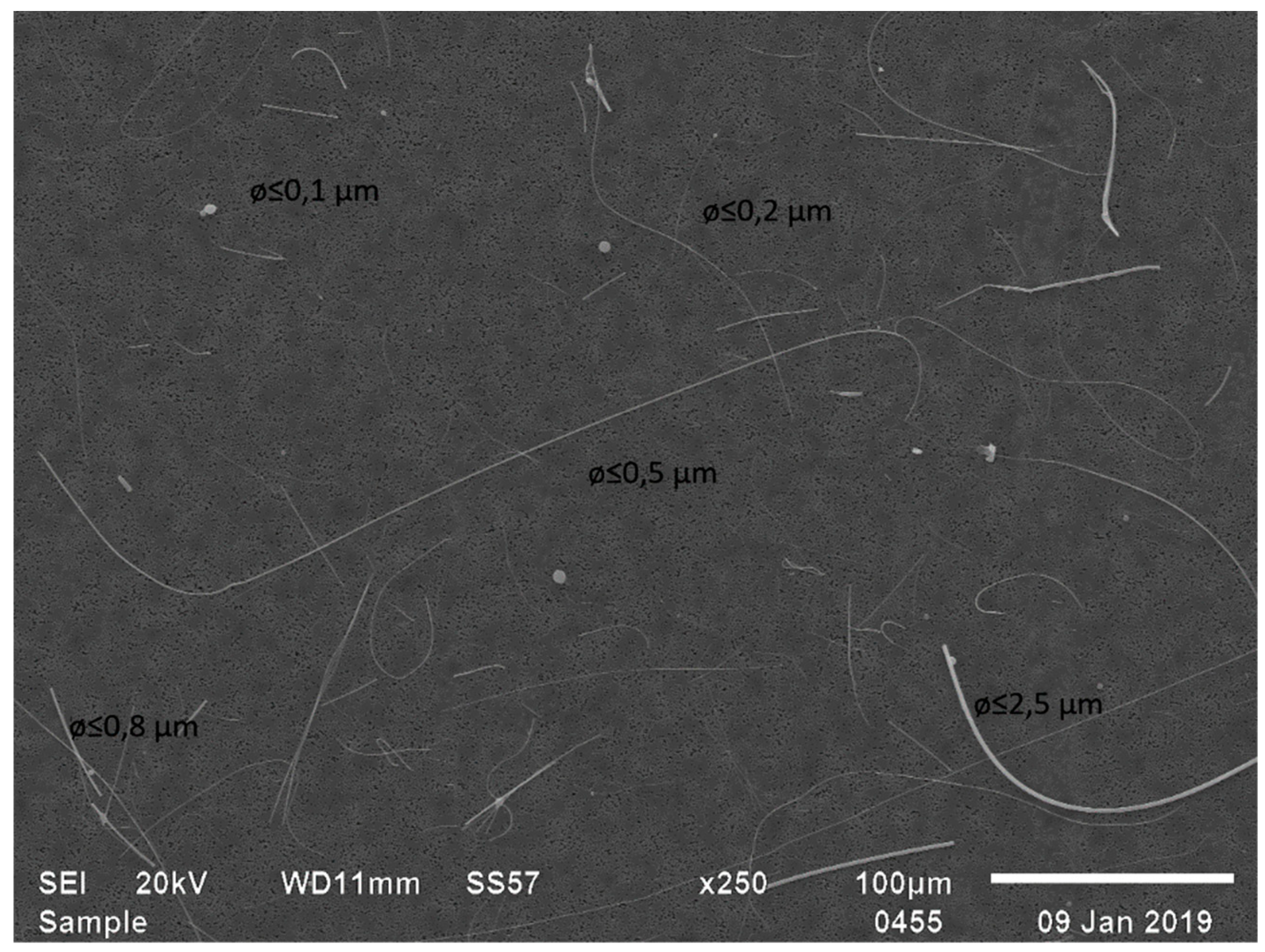 Ijerph 16 01256 g004 550