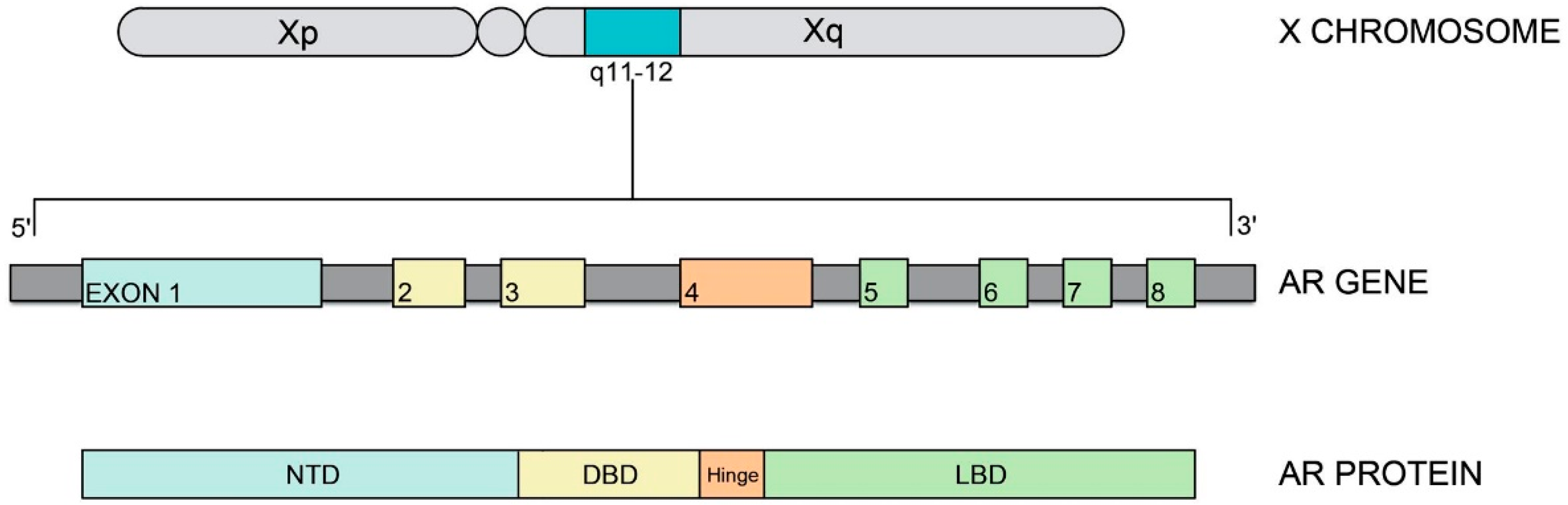 Ijerph 16 01268 g001 Ijerph 16 01268 g001