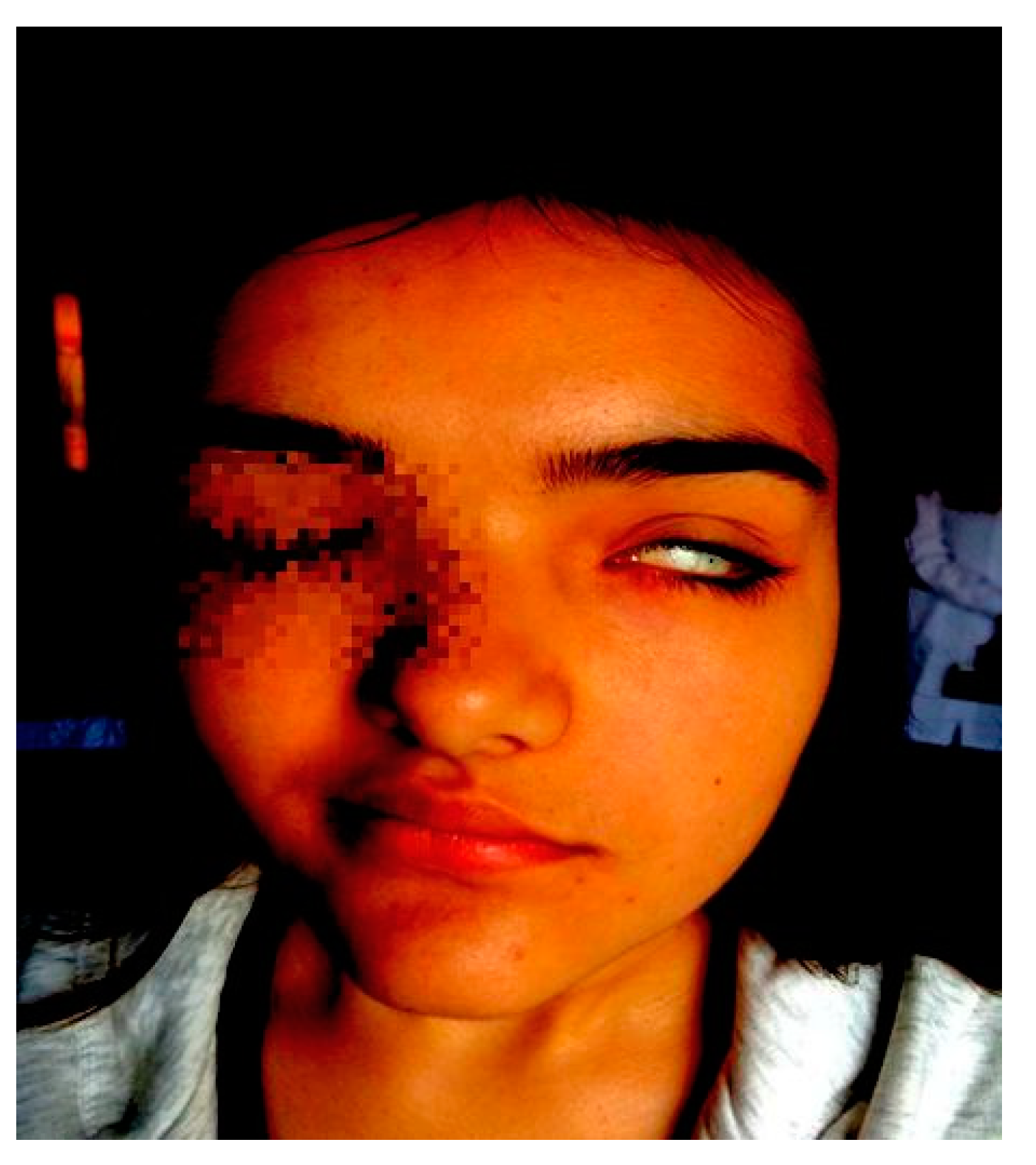 Ijerph 16 01289 g001 Ijerph 16 01289 g001