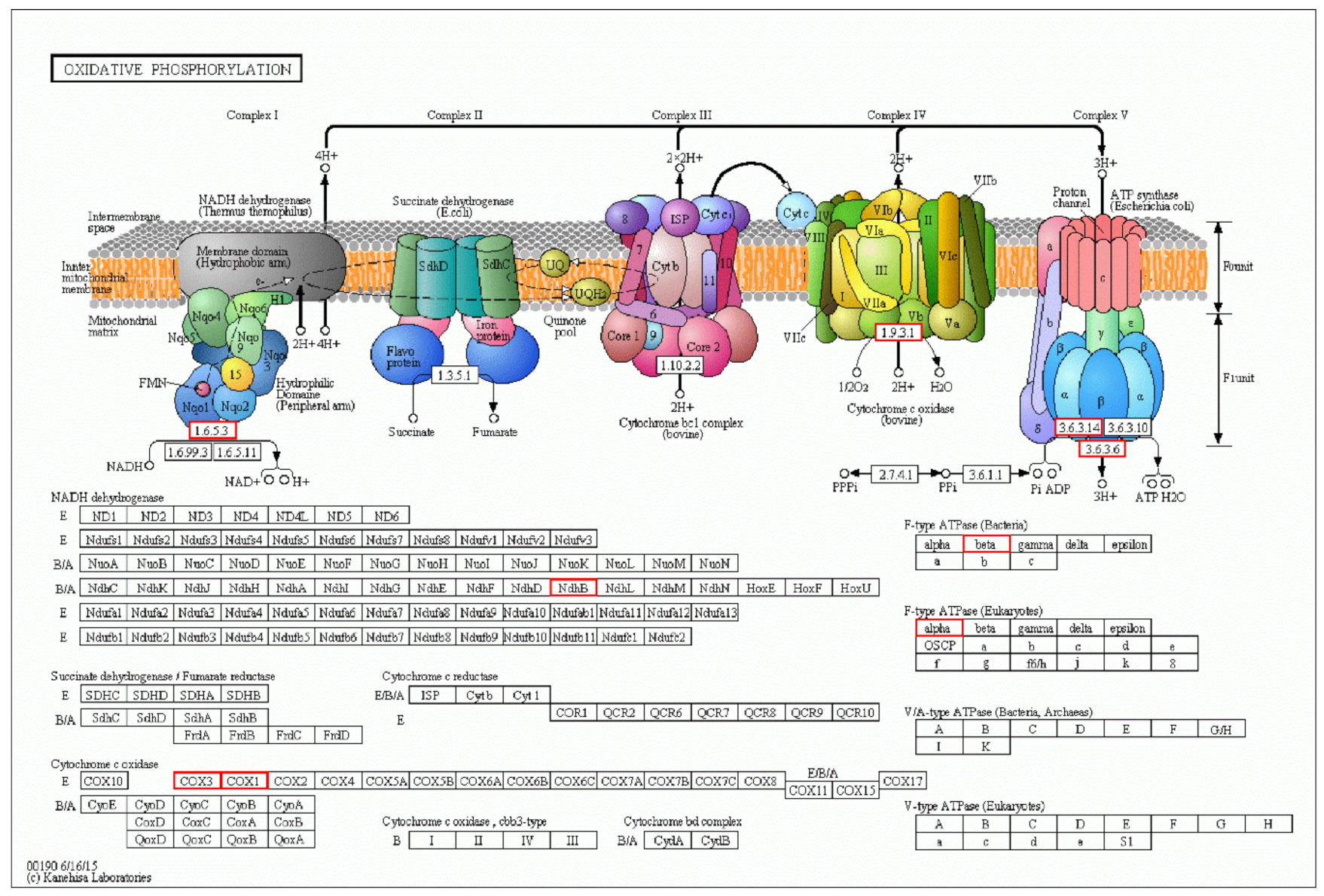 Ijerph 16 01374 g004 550