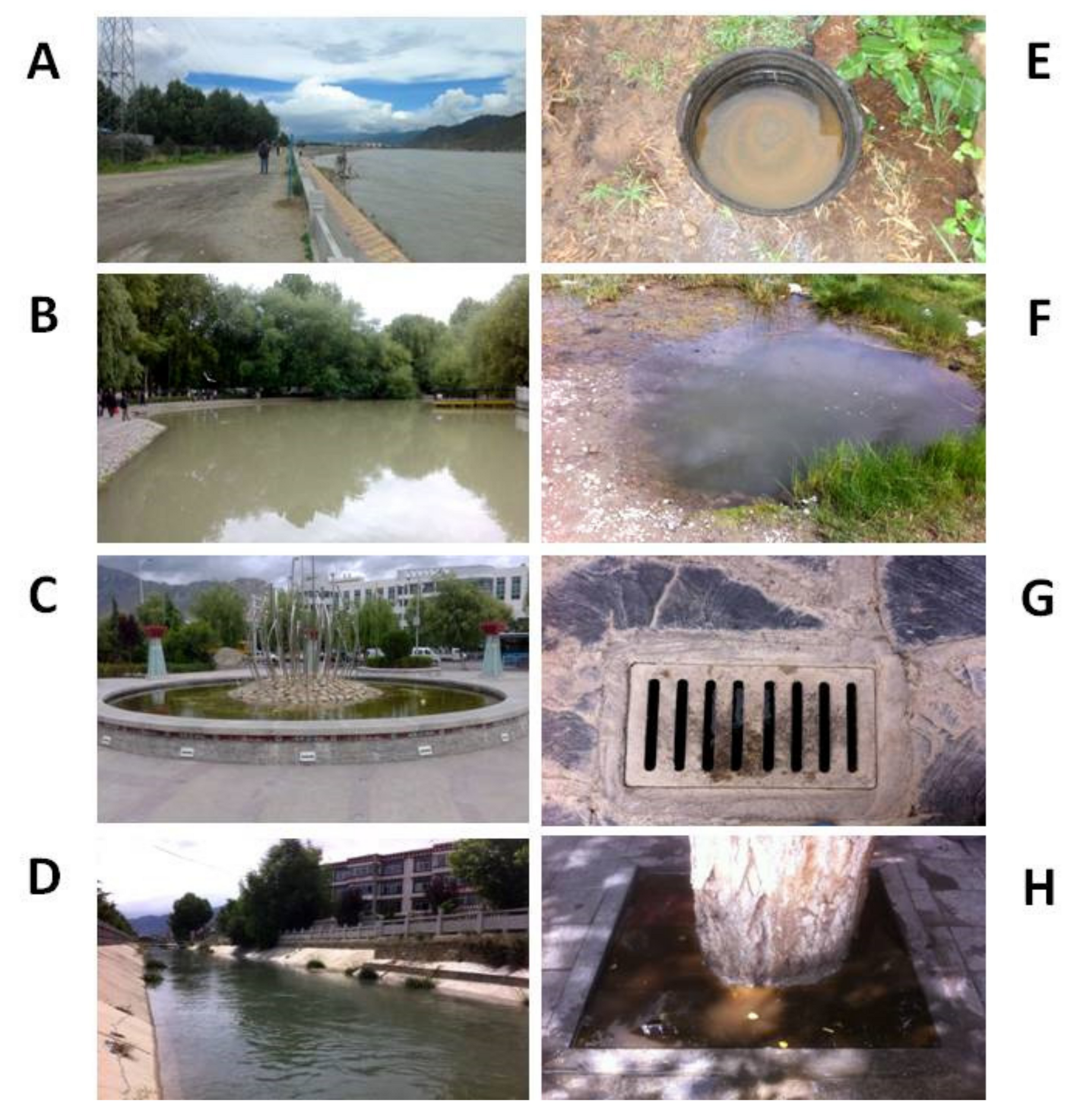 Ijerph 16 01407 g002