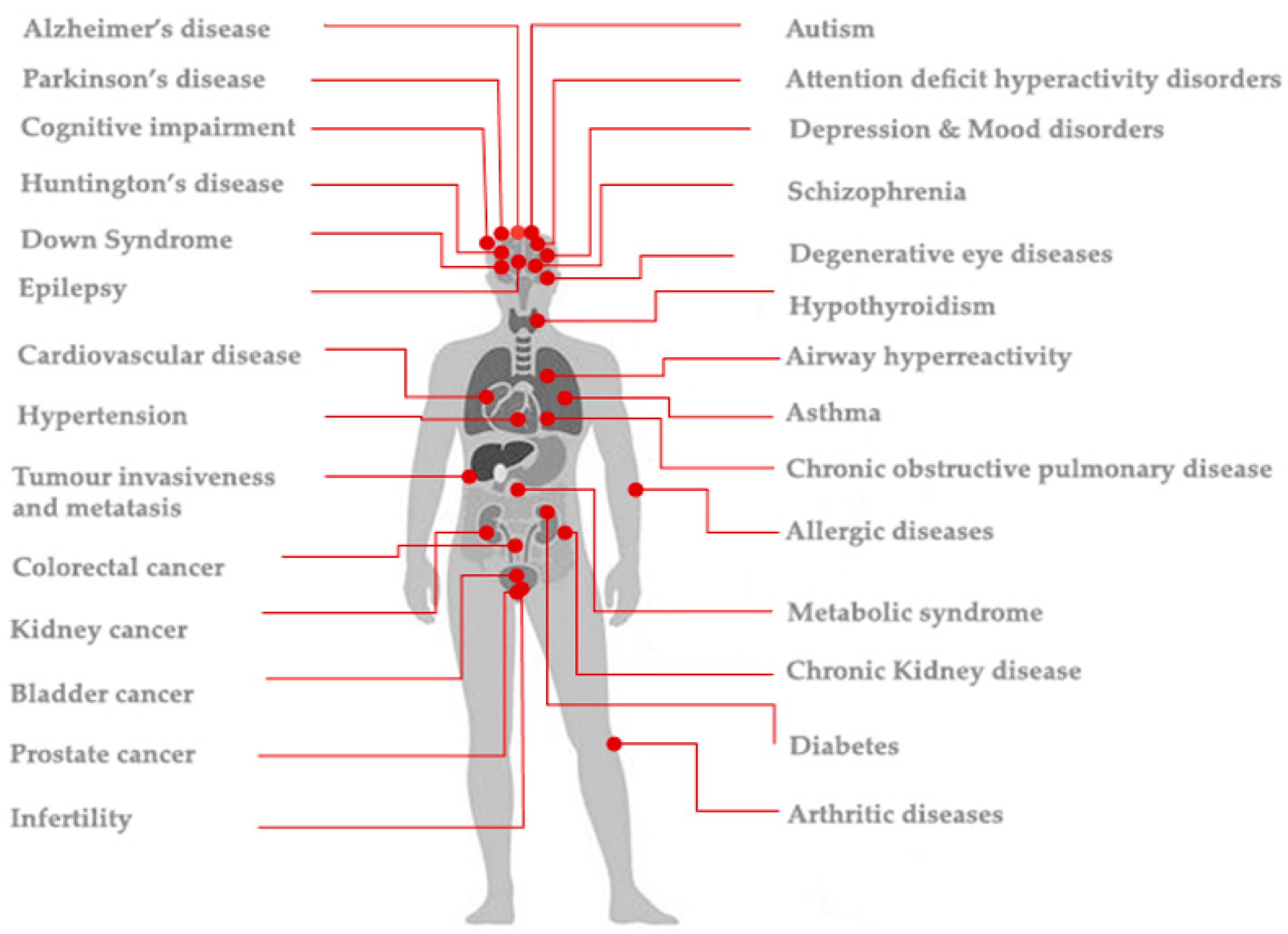 Fluoride exposure. Diseases associated